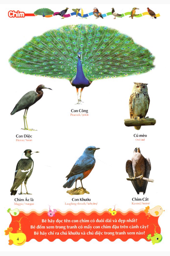 từ điển tranh về các con vật (2022) - Ảnh 4