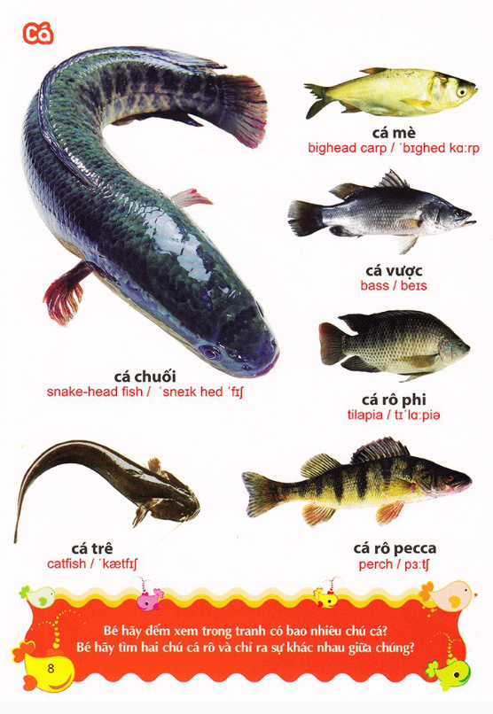 từ điển tranh về các con vật (2022) - Ảnh 5