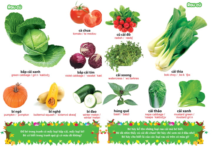 từ điển tranh về rau - củ - quả - hoa (2017) - Ảnh 2
