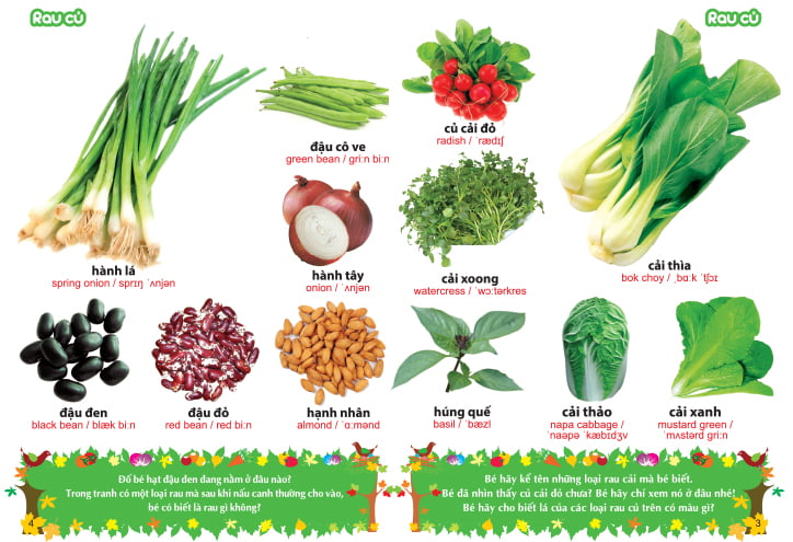 từ điển tranh về rau - củ - quả - hoa (2017) - Ảnh 3