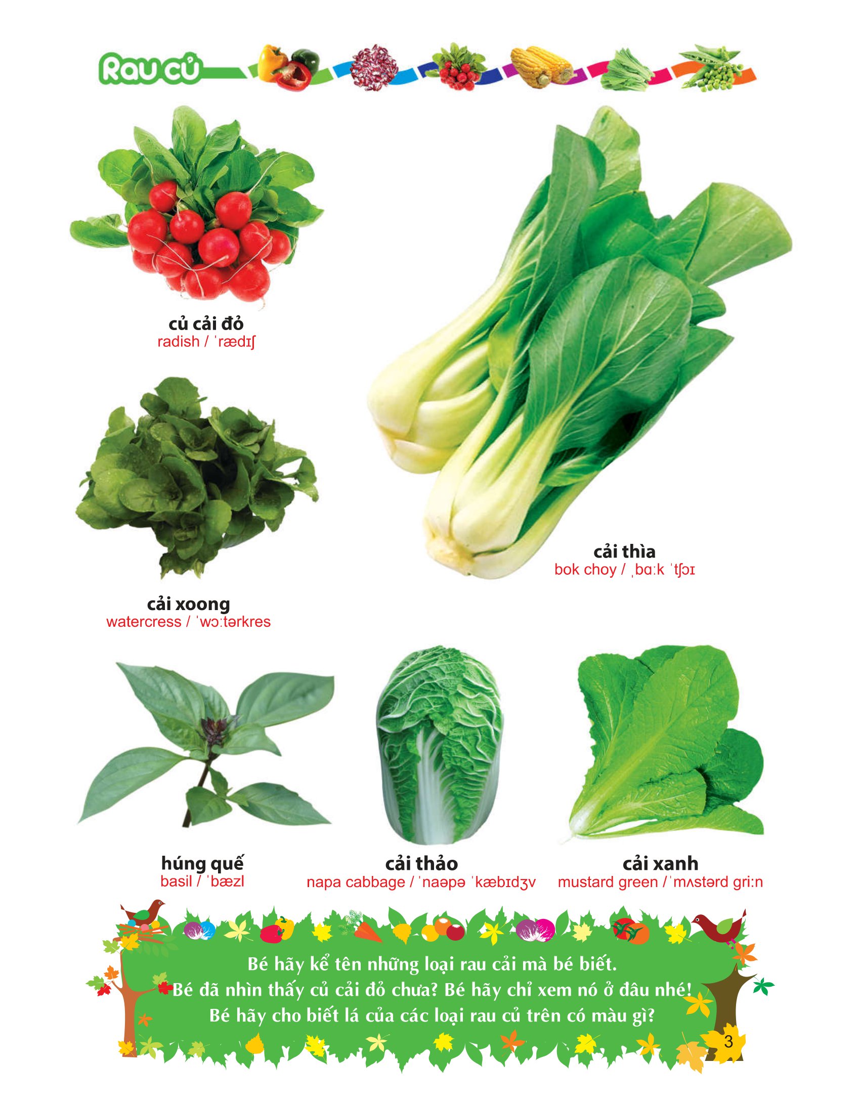 từ điển tranh về rau - củ - quả - hoa - Ảnh 4