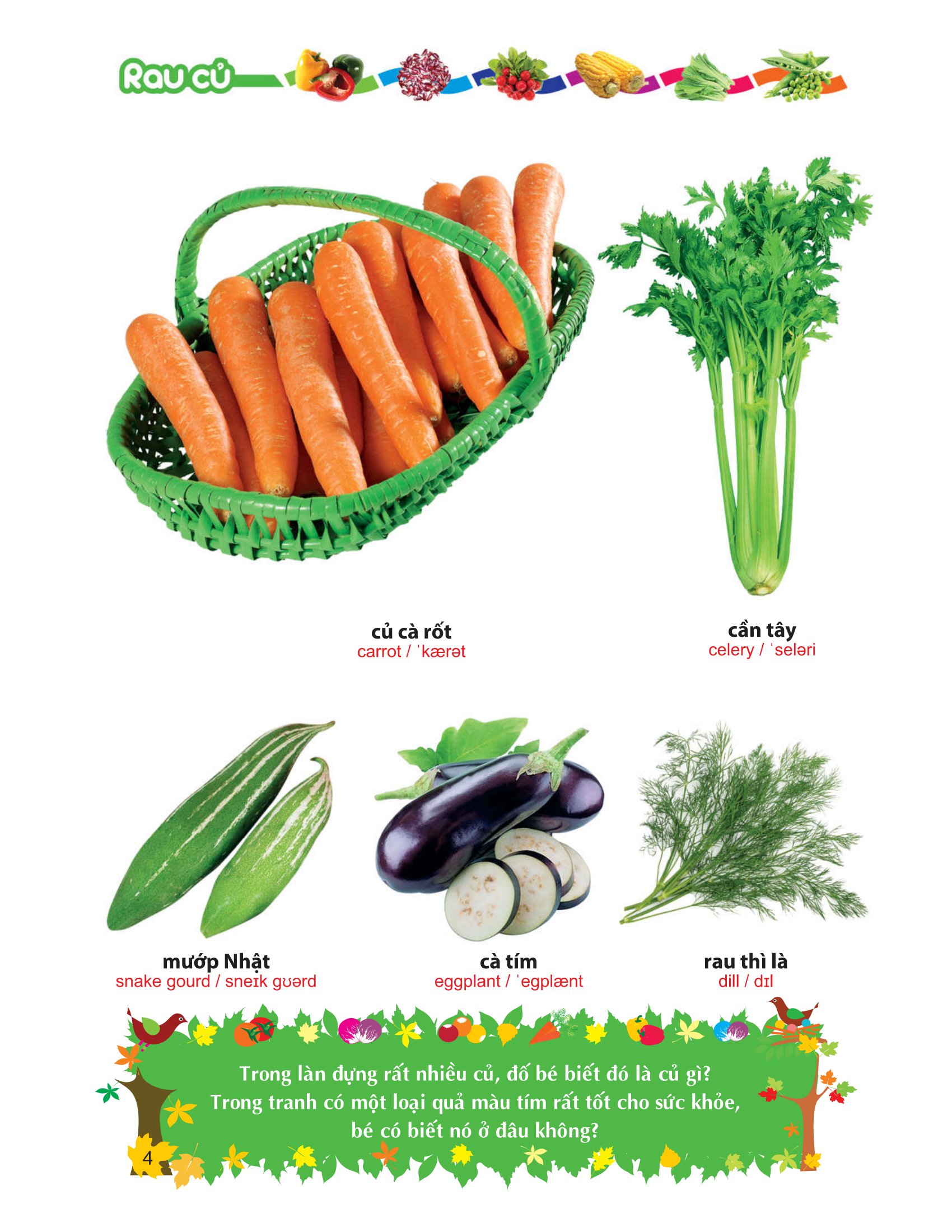 từ điển tranh về rau - củ - quả - hoa - Ảnh 5