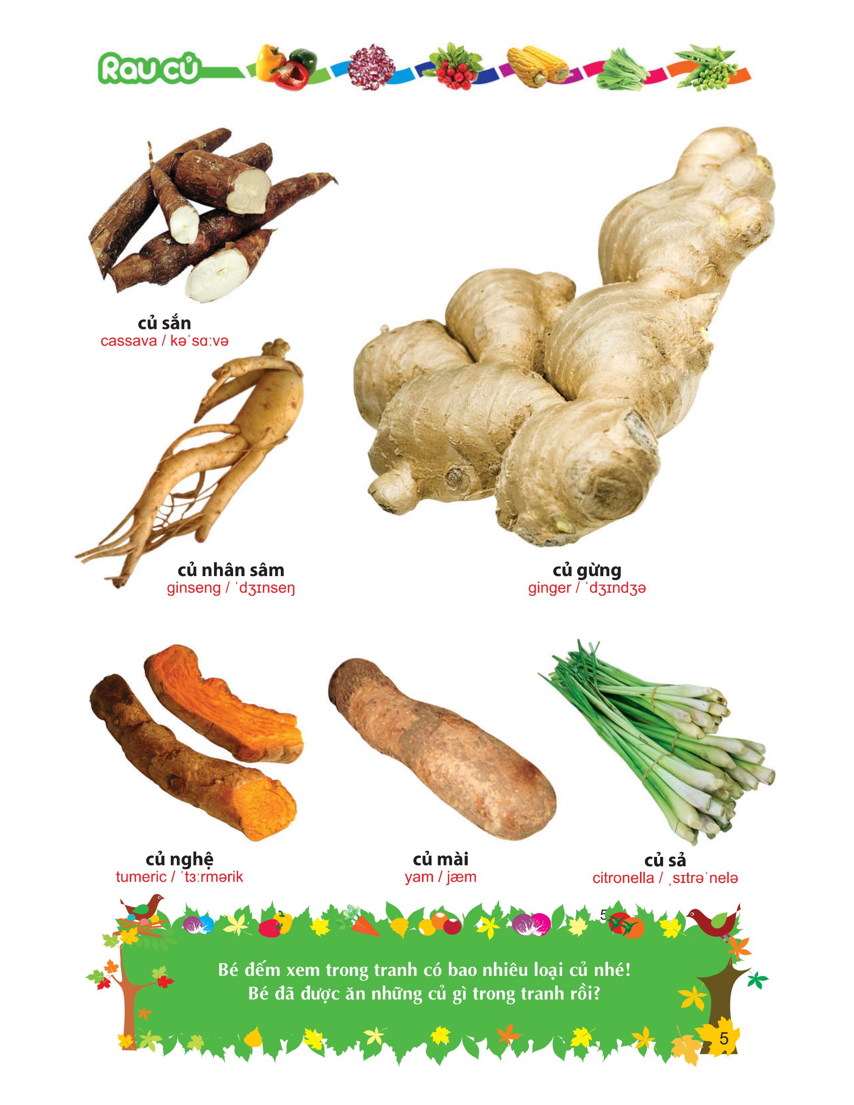 từ điển tranh về rau - củ - quả - hoa - Ảnh 6
