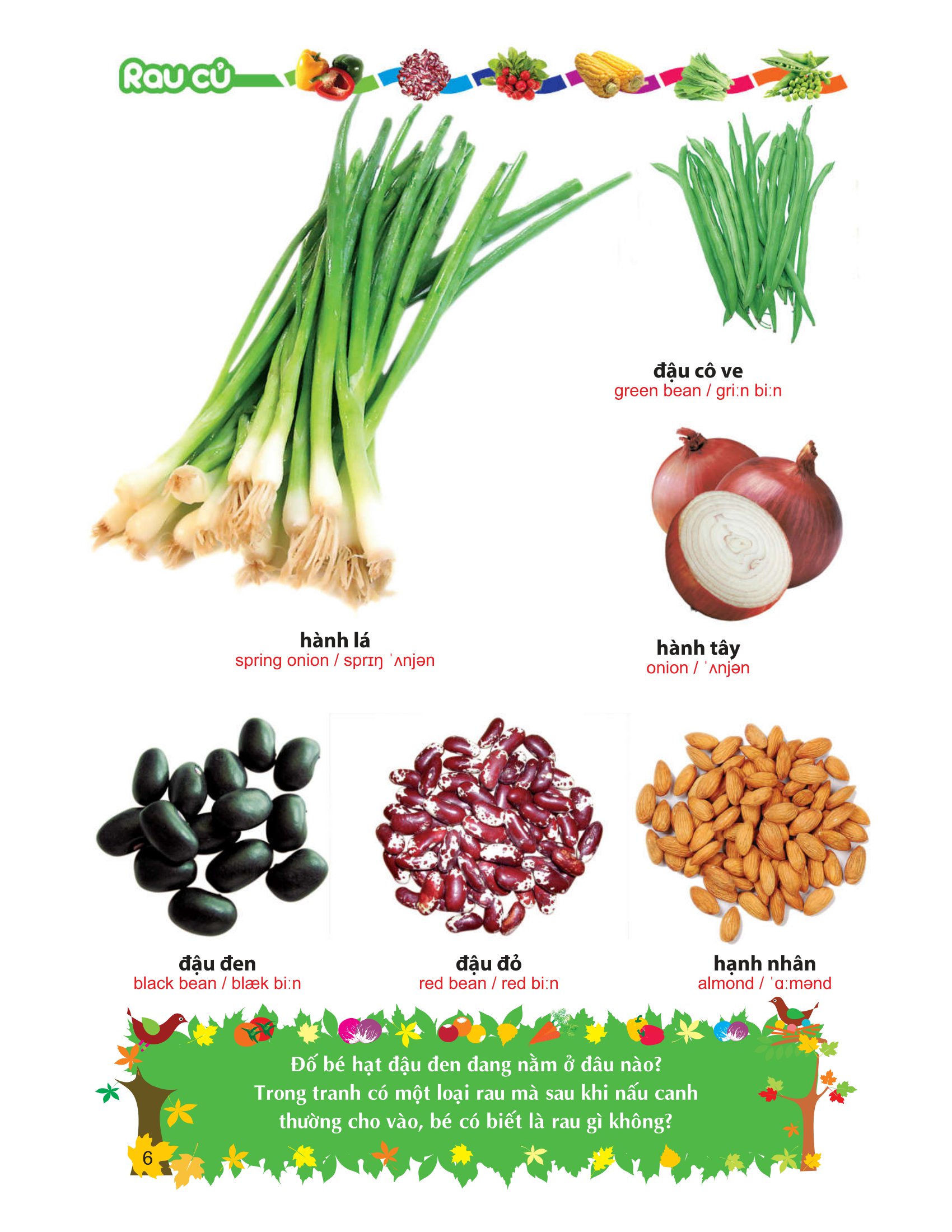 từ điển tranh về rau - củ - quả - hoa - Ảnh 7
