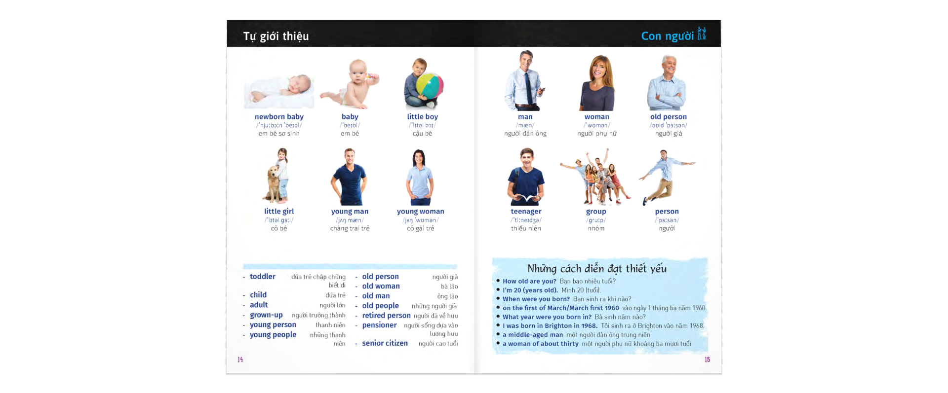 từ điển trực quan bỏ túi anh-việt - Ảnh 9