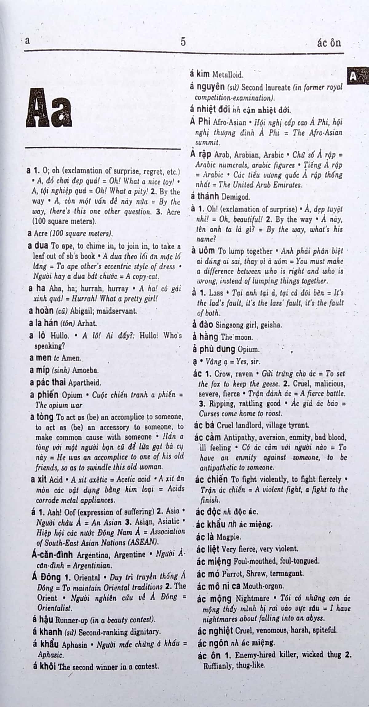 từ điển việt - anh khoàng 289.000 từ - Ảnh 3