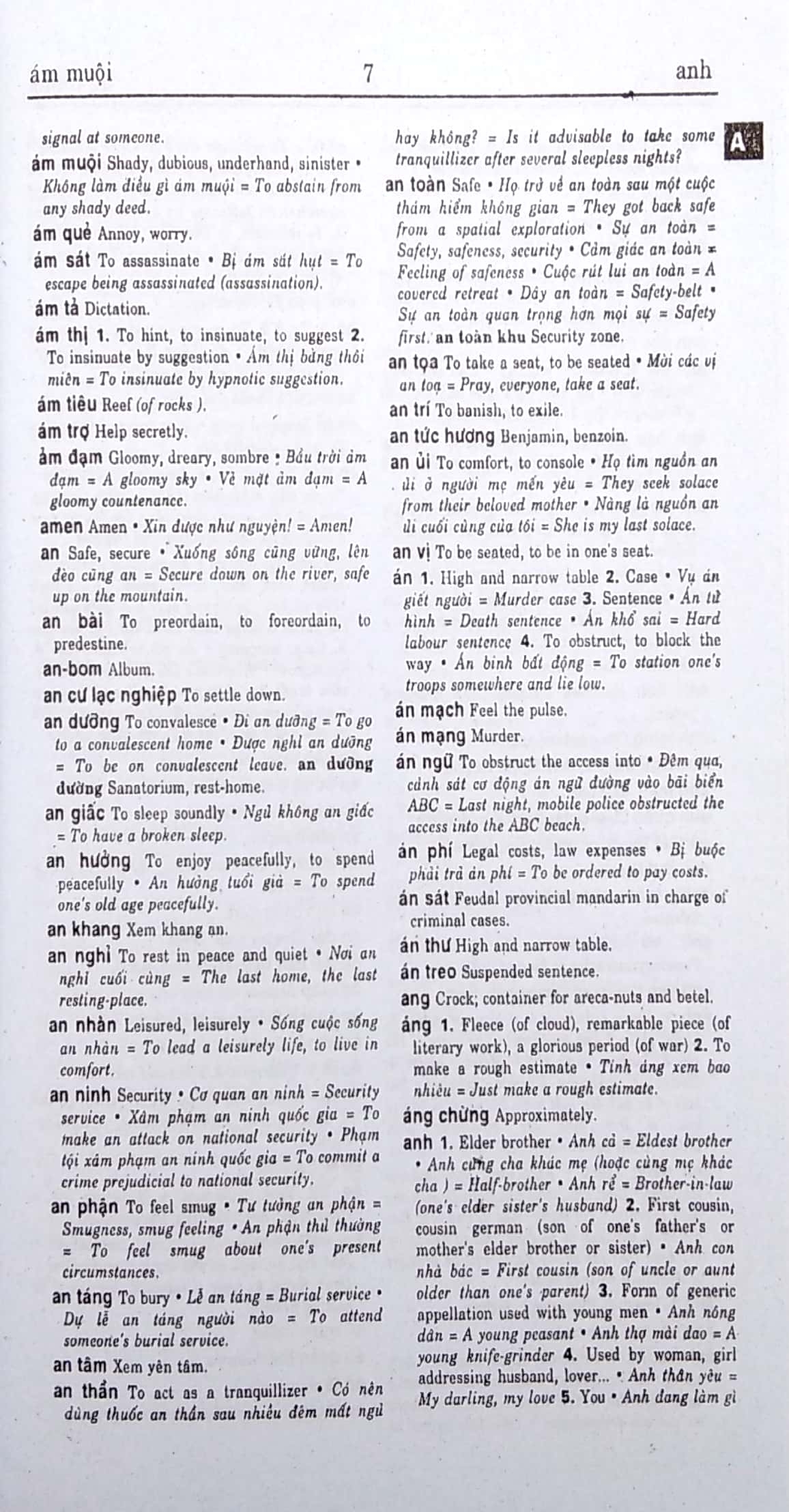 từ điển việt - anh khoàng 289.000 từ - Ảnh 5