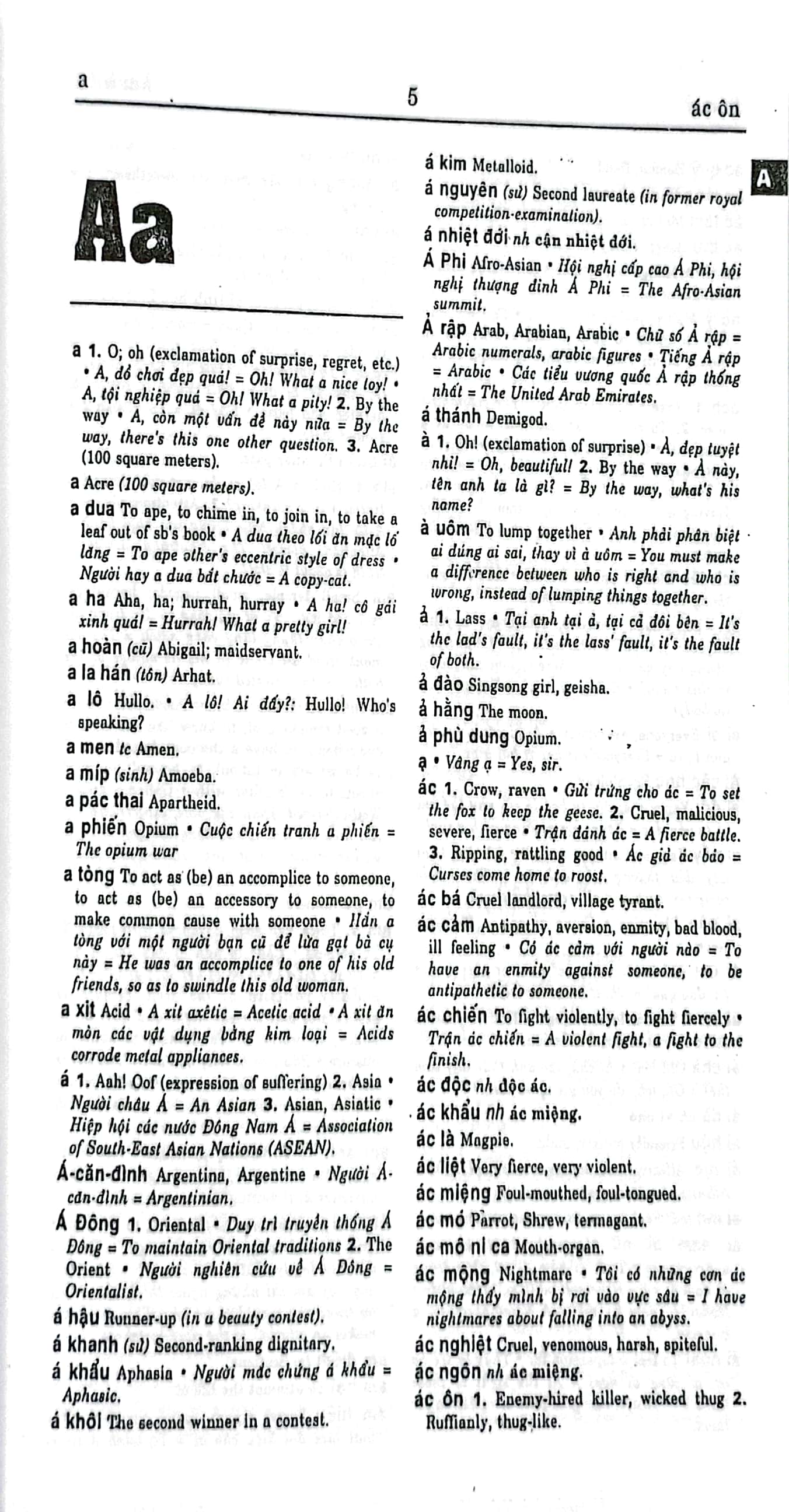 từ điển việt-anh (khoảng 290.000 từ) - Ảnh 3