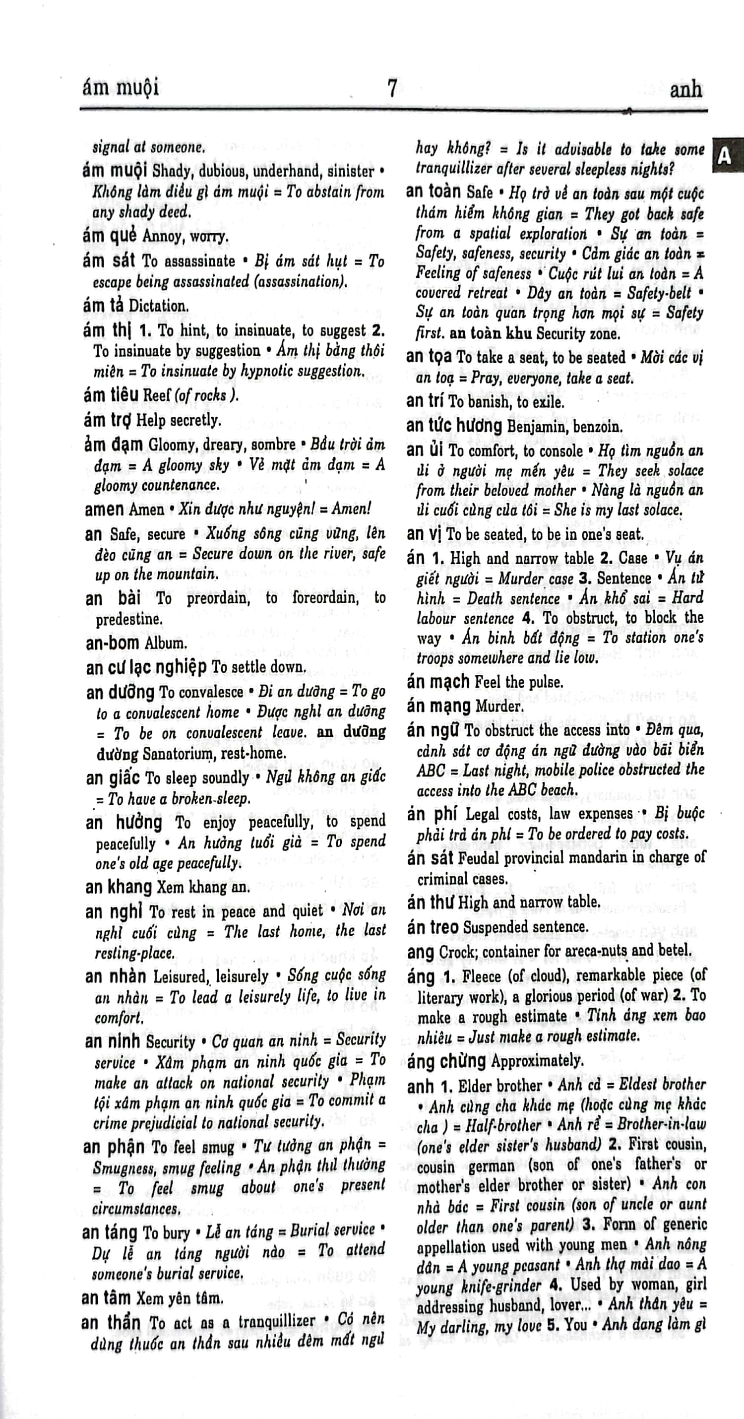 từ điển việt-anh (khoảng 290.000 từ) - Ảnh 5