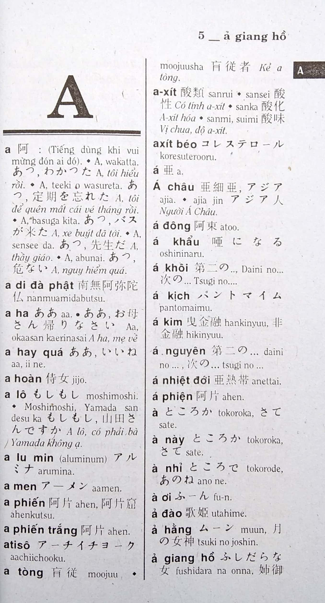 từ điển việt - nhật - Ảnh 3