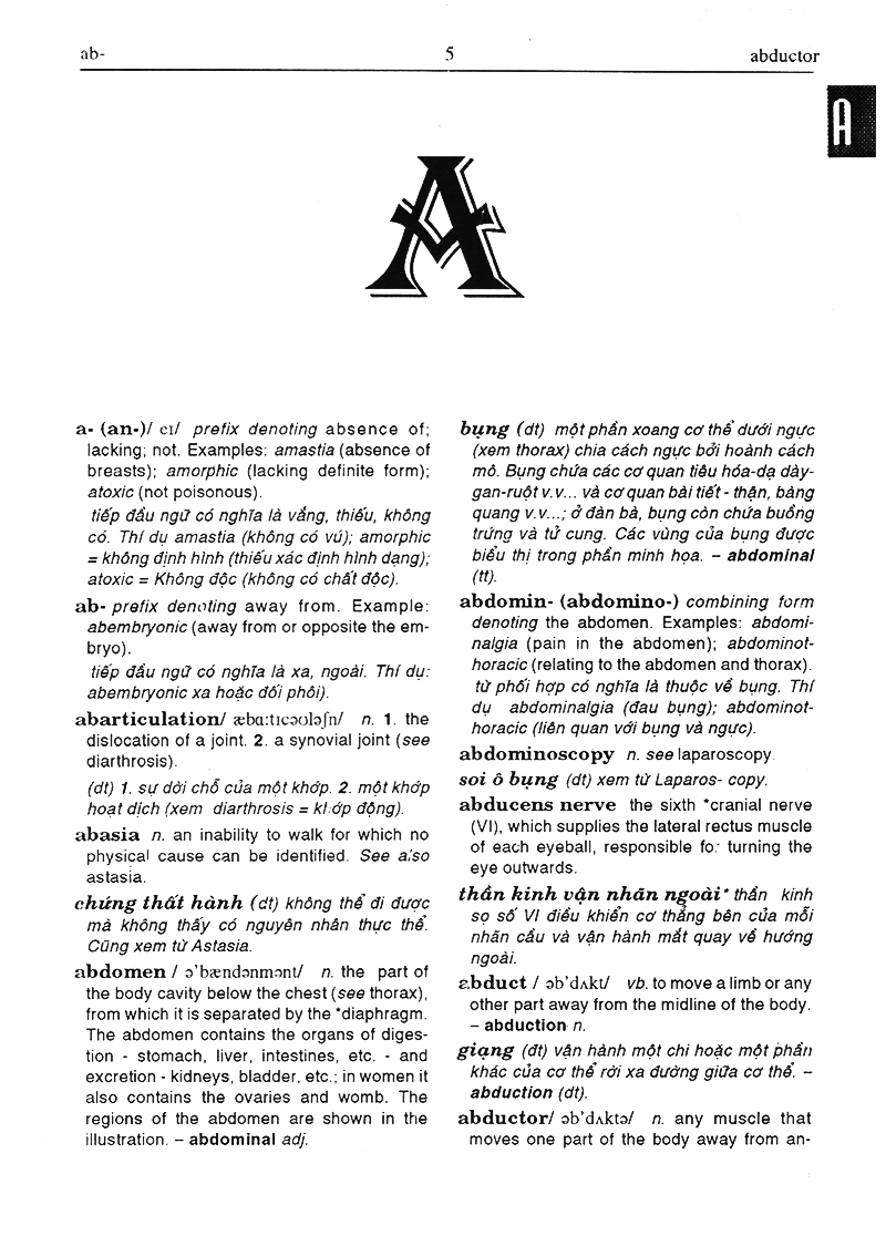 từ điển y học anh việt - Ảnh 2