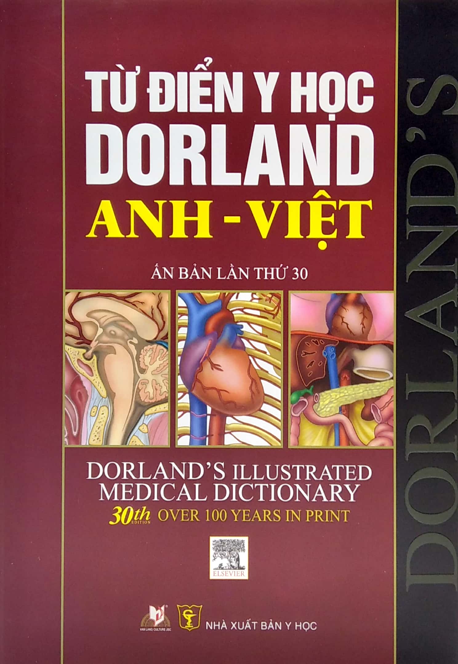 từ điển y học dorland anh - việt - Ảnh 3