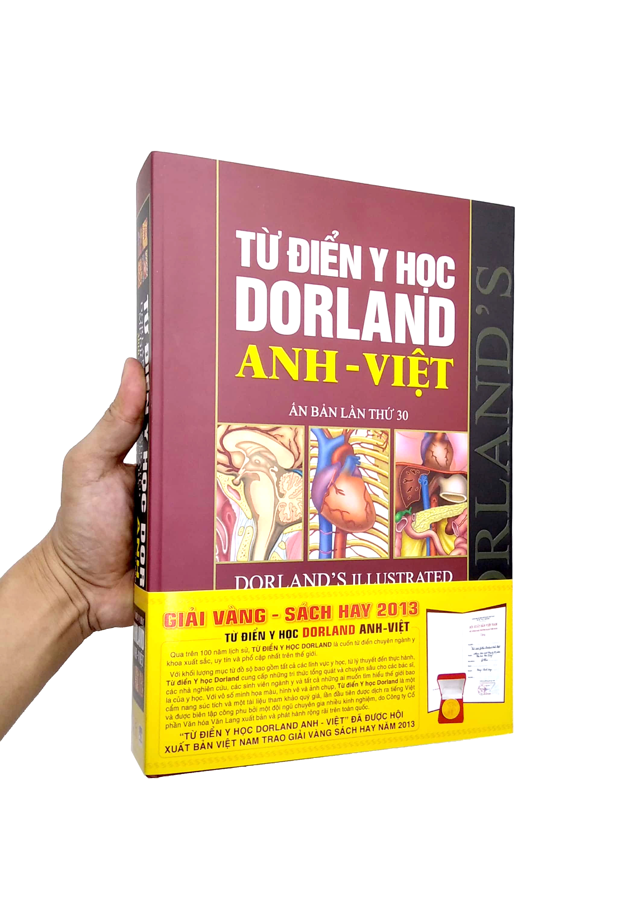 từ điển y học dorland anh - việt - Ảnh 8