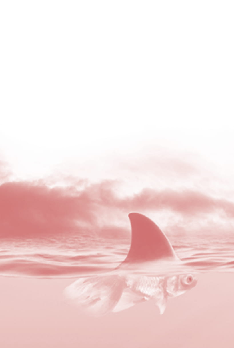 tư duy cá mập - suy nghĩ cá vàng (tái bản 2022) - Ảnh 3