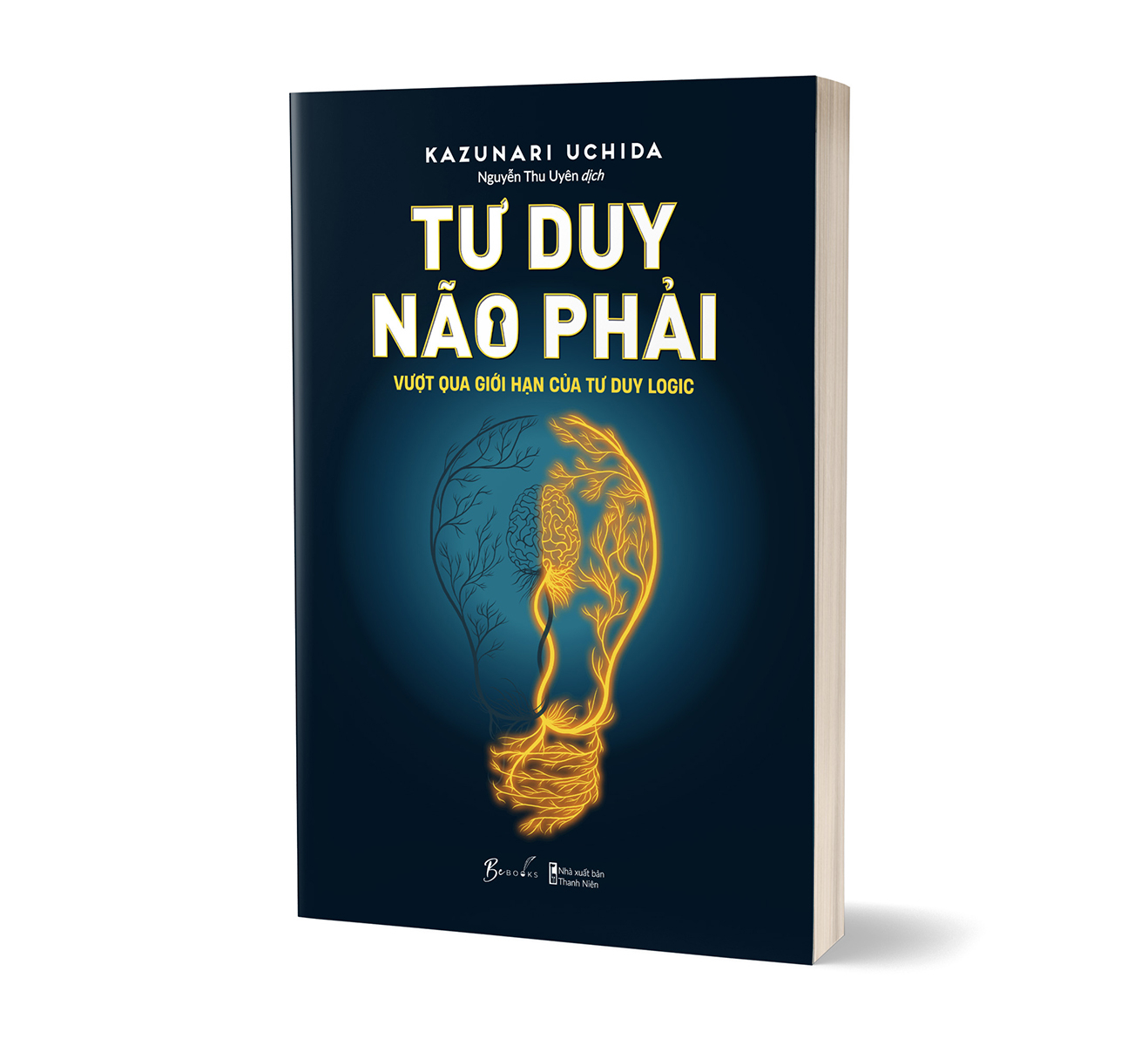 tư duy não phải - vượt qua giới hạn của tư duy logic - Ảnh 4