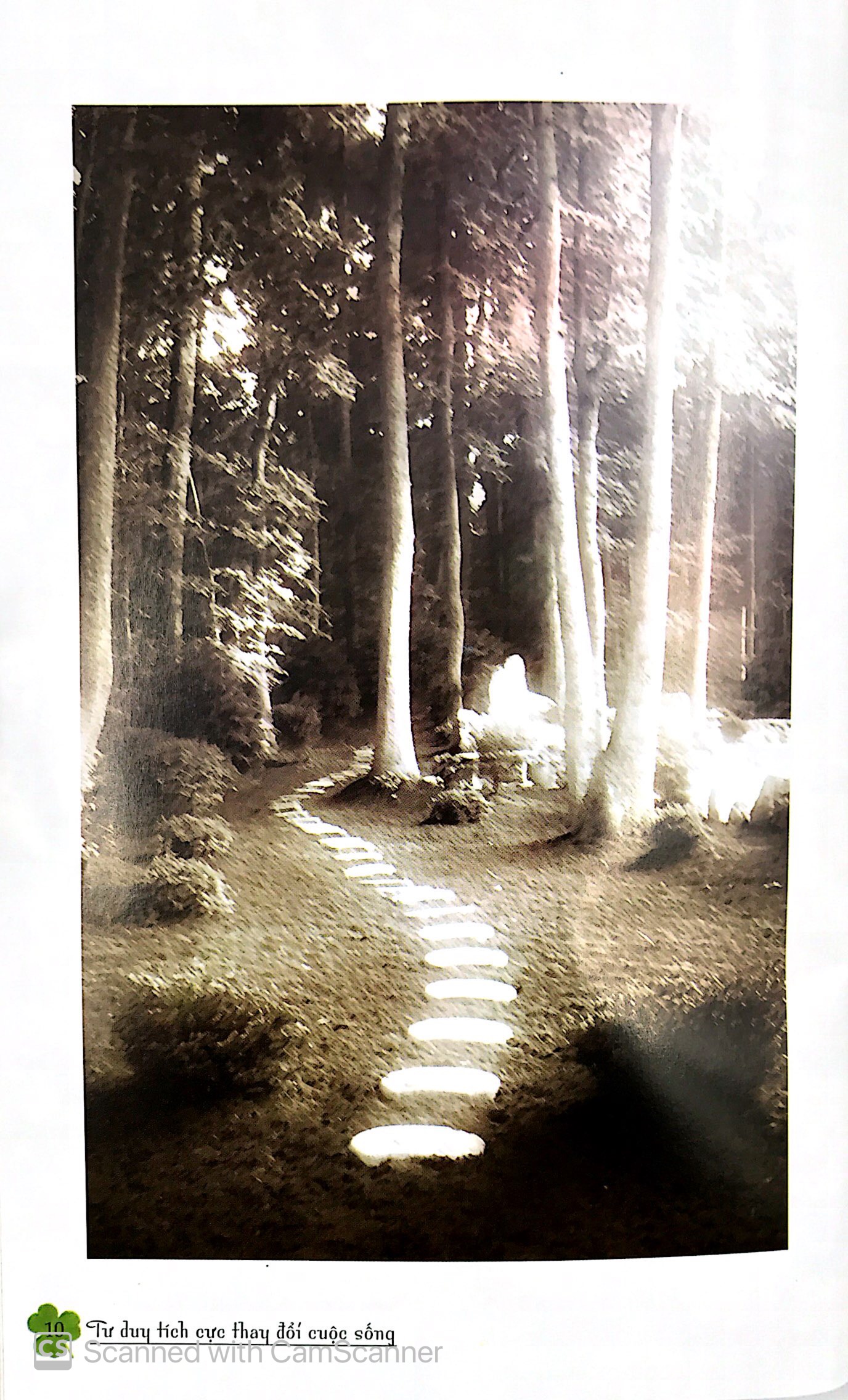 Tư Duy Tích Cực Thay Đổi Cuộc Sống (Tái Bản) - Ảnh 4