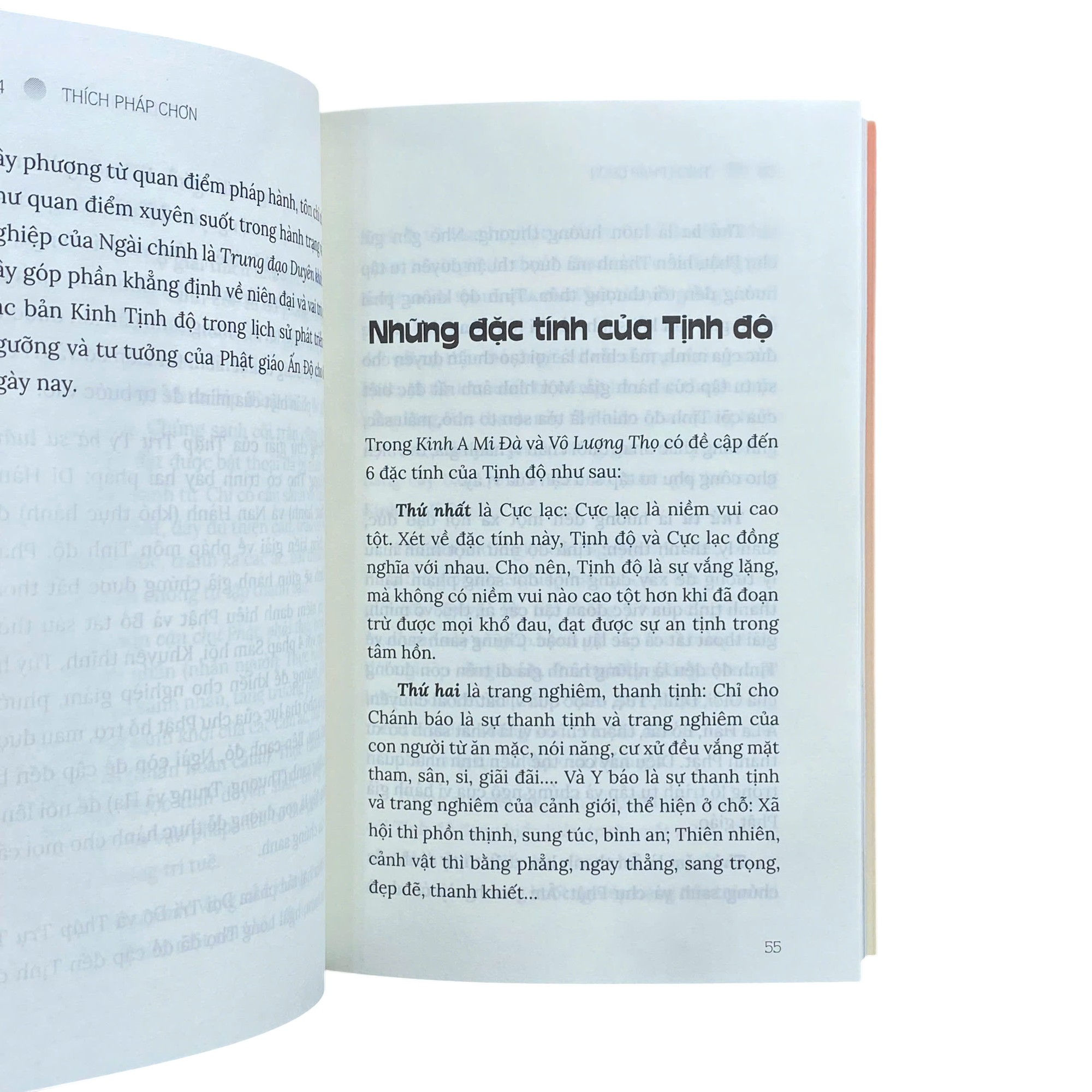 Tư Duy Tịnh Độ - Ảnh 3