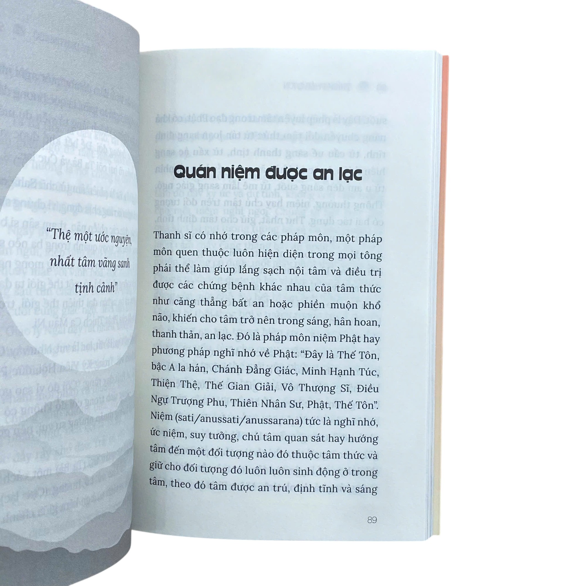 Tư Duy Tịnh Độ - Ảnh 4