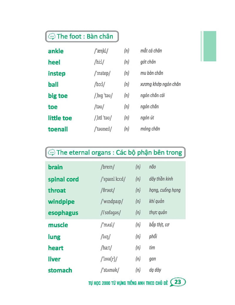 tự học 2000 từ vựng tiếng anh theo chủ đề (tái bản) - Ảnh 25