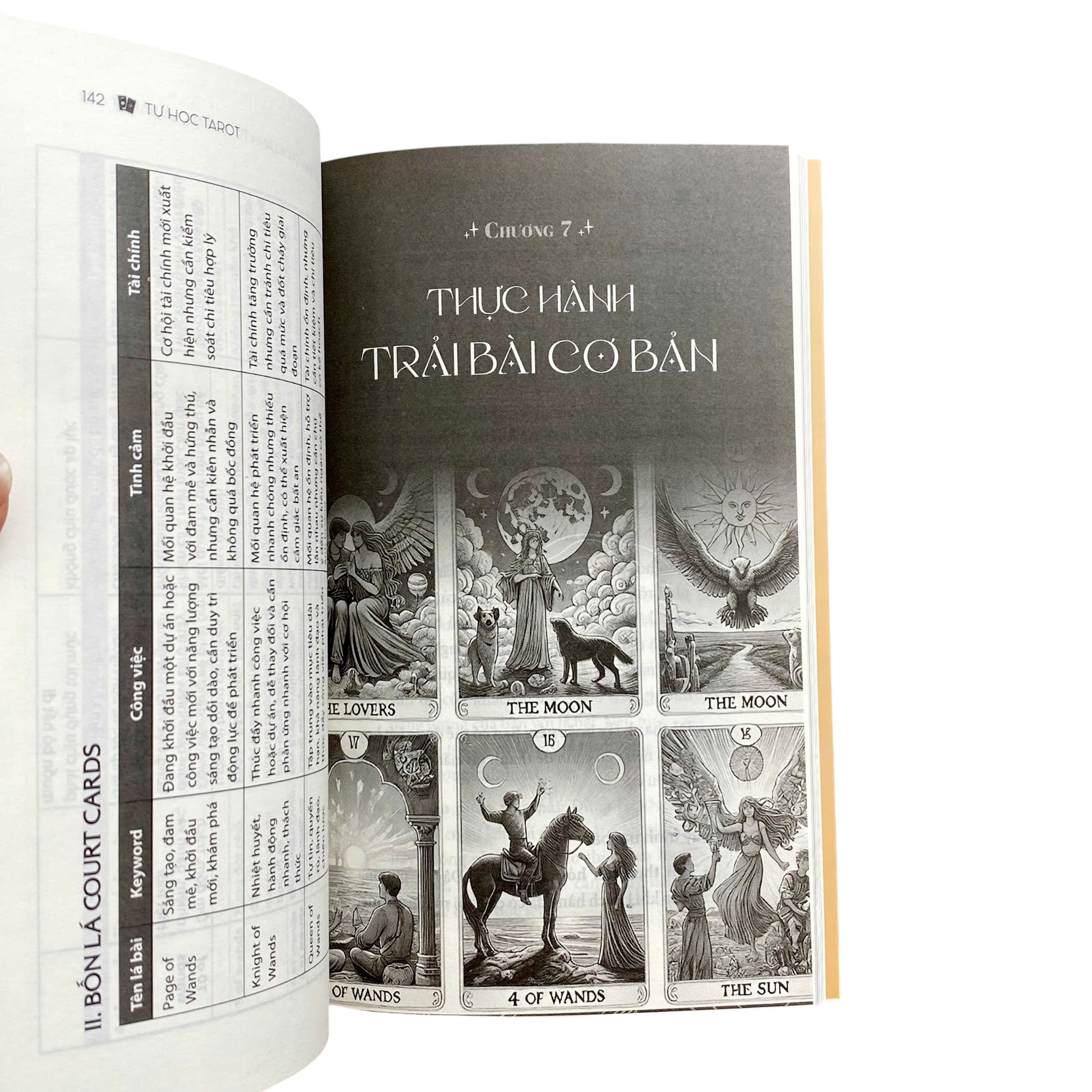 Tự Học Tarot - Hành Trình Chữa Lành Từ Những Lá Bài - Ảnh 6