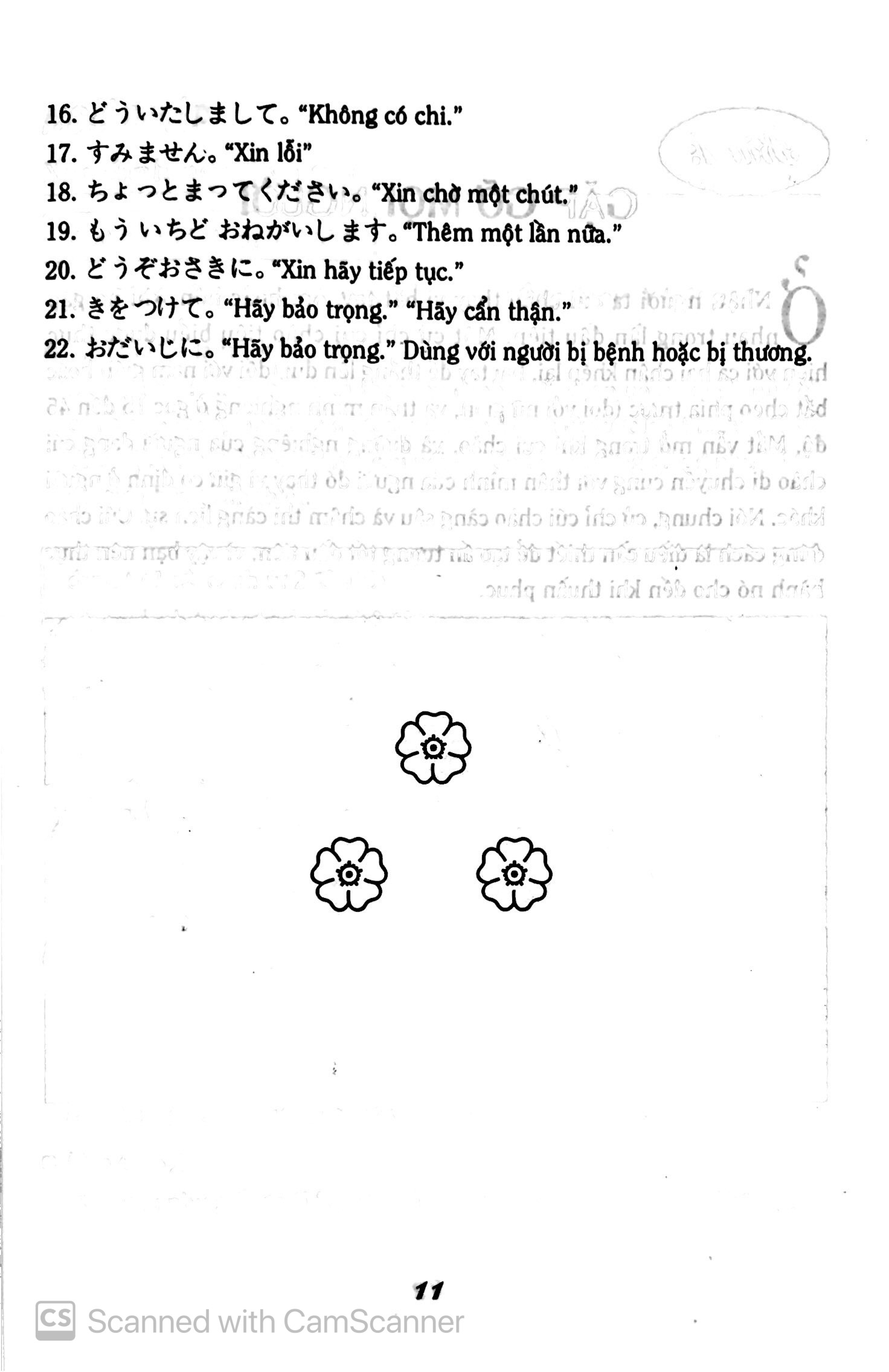 tự học tiếng nhật cho người mới bắt đầu - Ảnh 12
