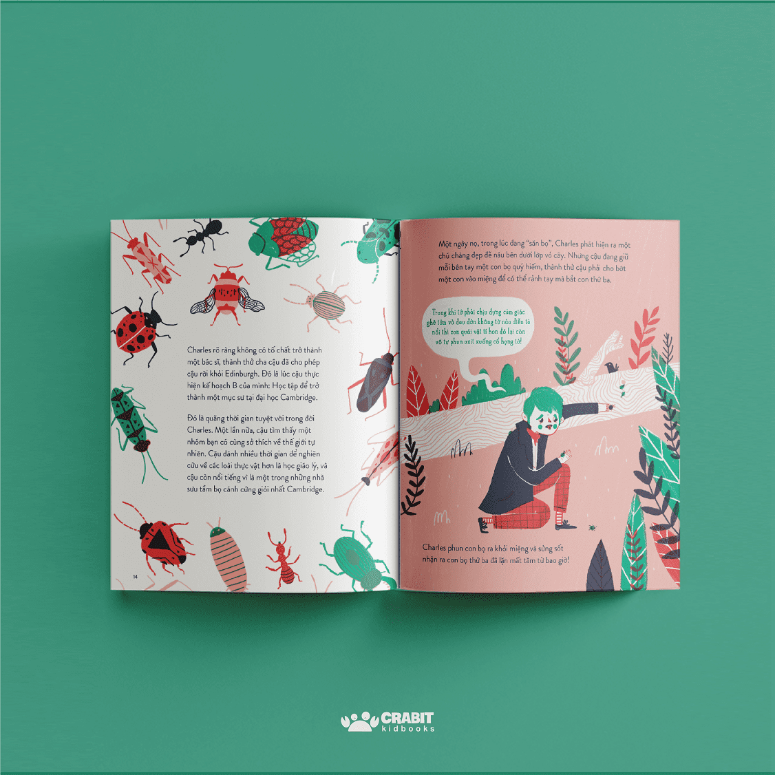 từ nhỏ bé đến phi thường - charles darwin - bìa cứng - Ảnh 4