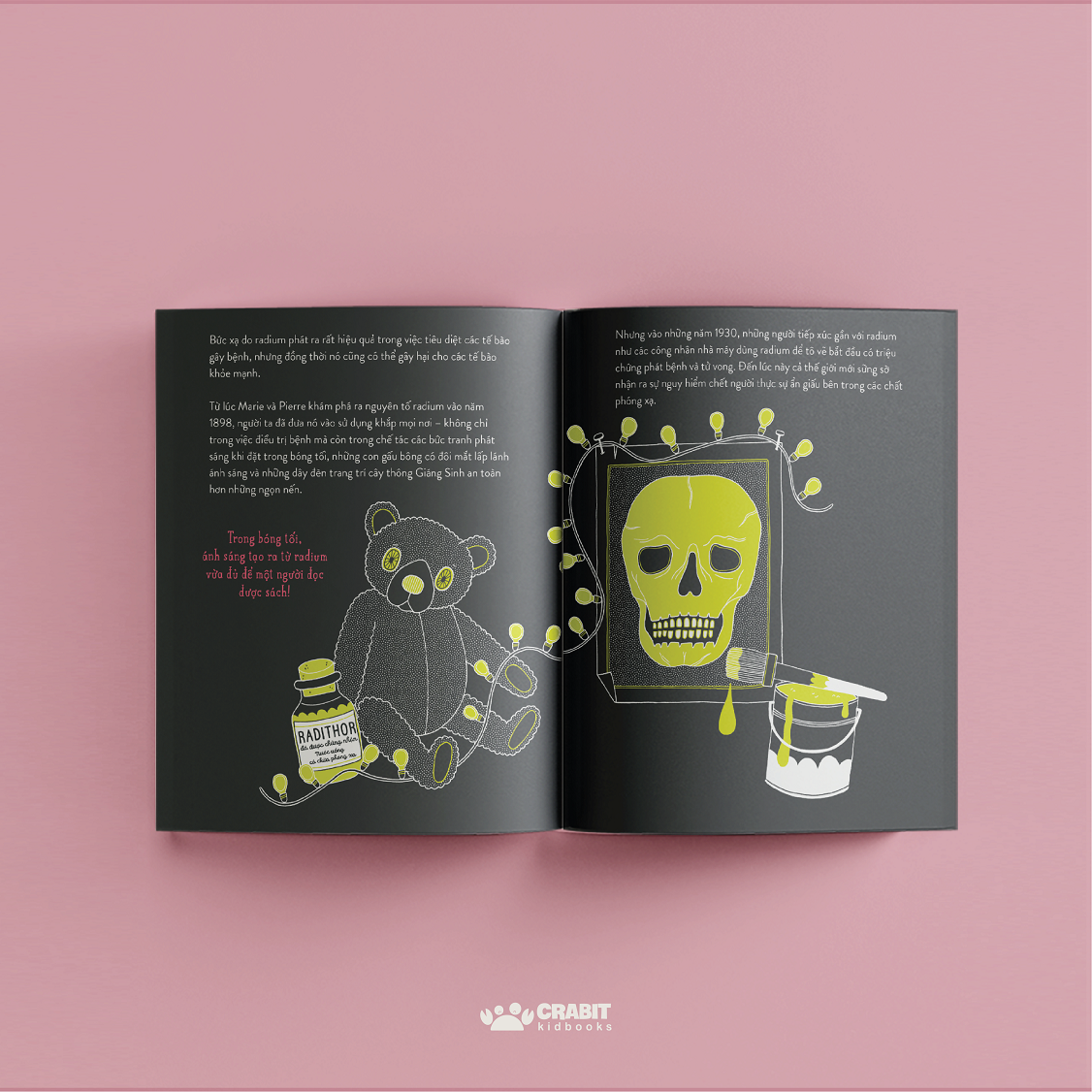 từ nhỏ bé đến phi thường - marie curie - bìa cứng - Ảnh 3