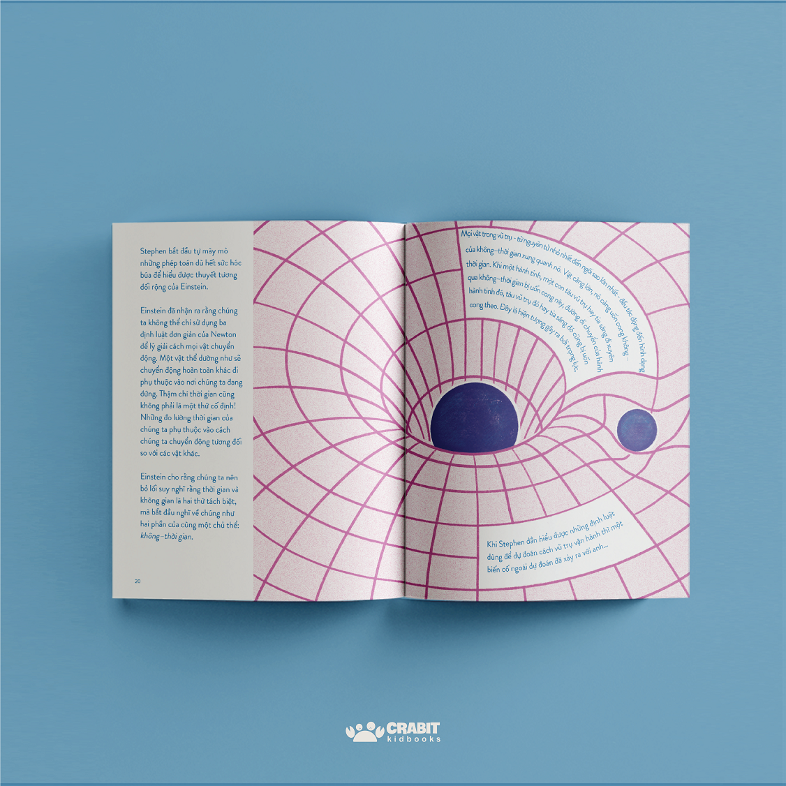từ nhỏ bé đến phi thường - stephen hawking - bìa cứng - Ảnh 4