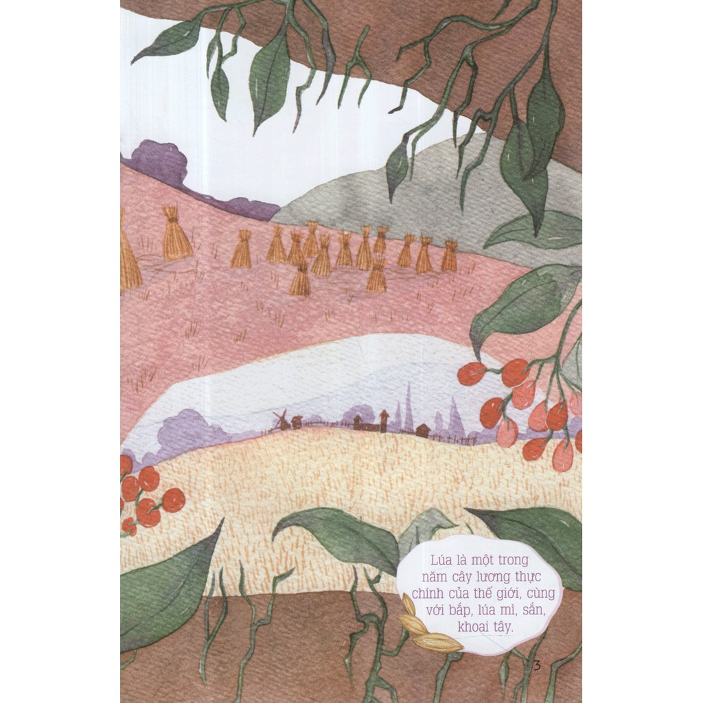 từ những hạt mầm - chuột đồng mê lúa (tái bản 2019) - Ảnh 5