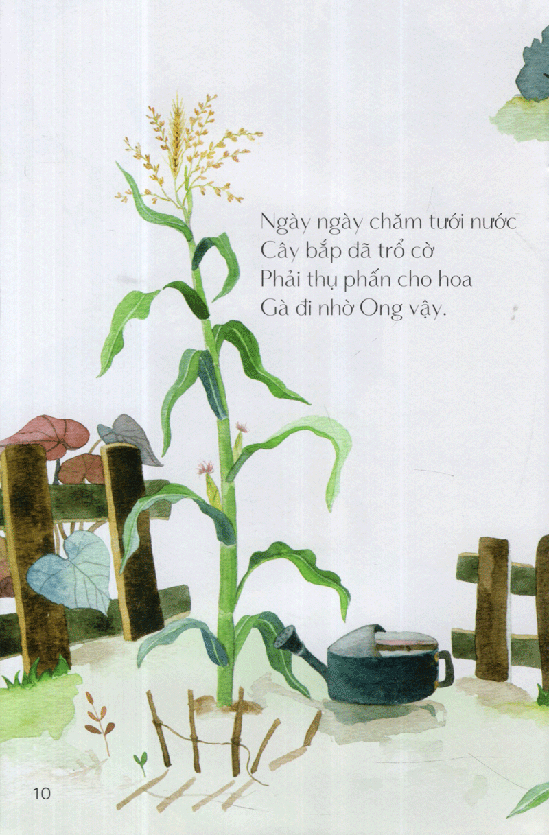 từ những hạt mầm - gà choai trồng bắp (tái bản 2019) - Ảnh 12