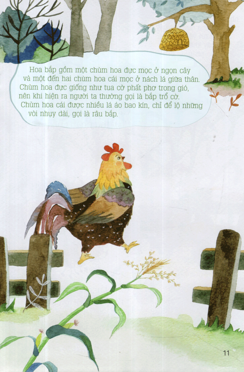 từ những hạt mầm - gà choai trồng bắp (tái bản 2019) - Ảnh 13