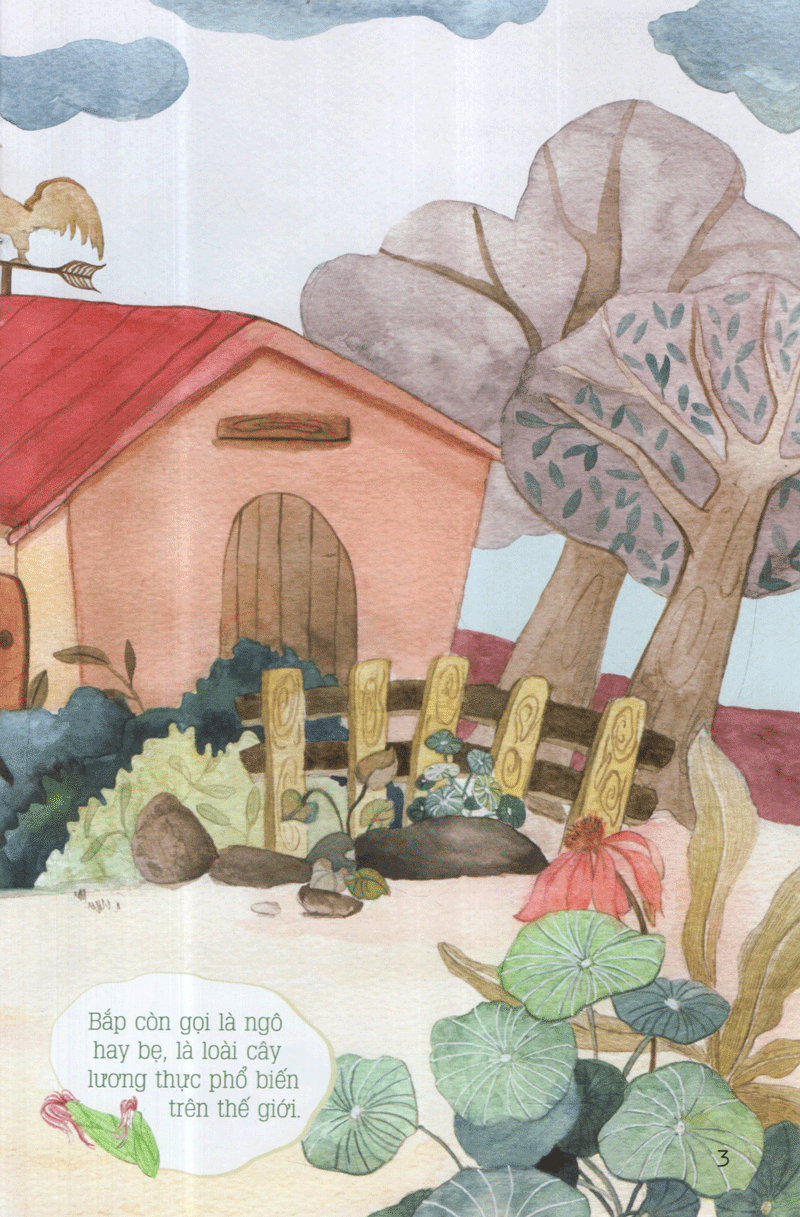 từ những hạt mầm - gà choai trồng bắp (tái bản 2019) - Ảnh 5