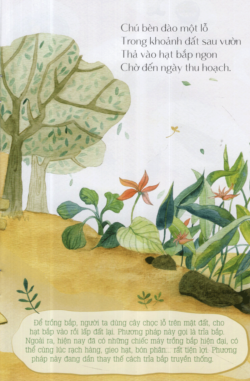 từ những hạt mầm - gà choai trồng bắp (tái bản 2019) - Ảnh 7