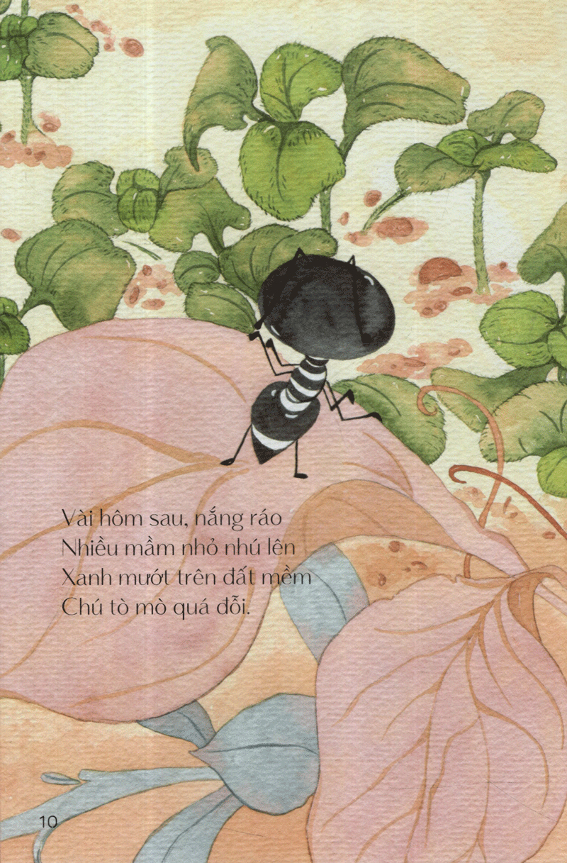 từ những hạt mầm - kiến đen tìm mè (tái bản 2019) - Ảnh 11