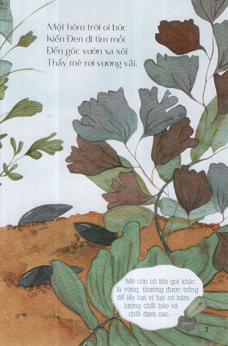 từ những hạt mầm - kiến đen tìm mè (tái bản 2019) - Ảnh 4