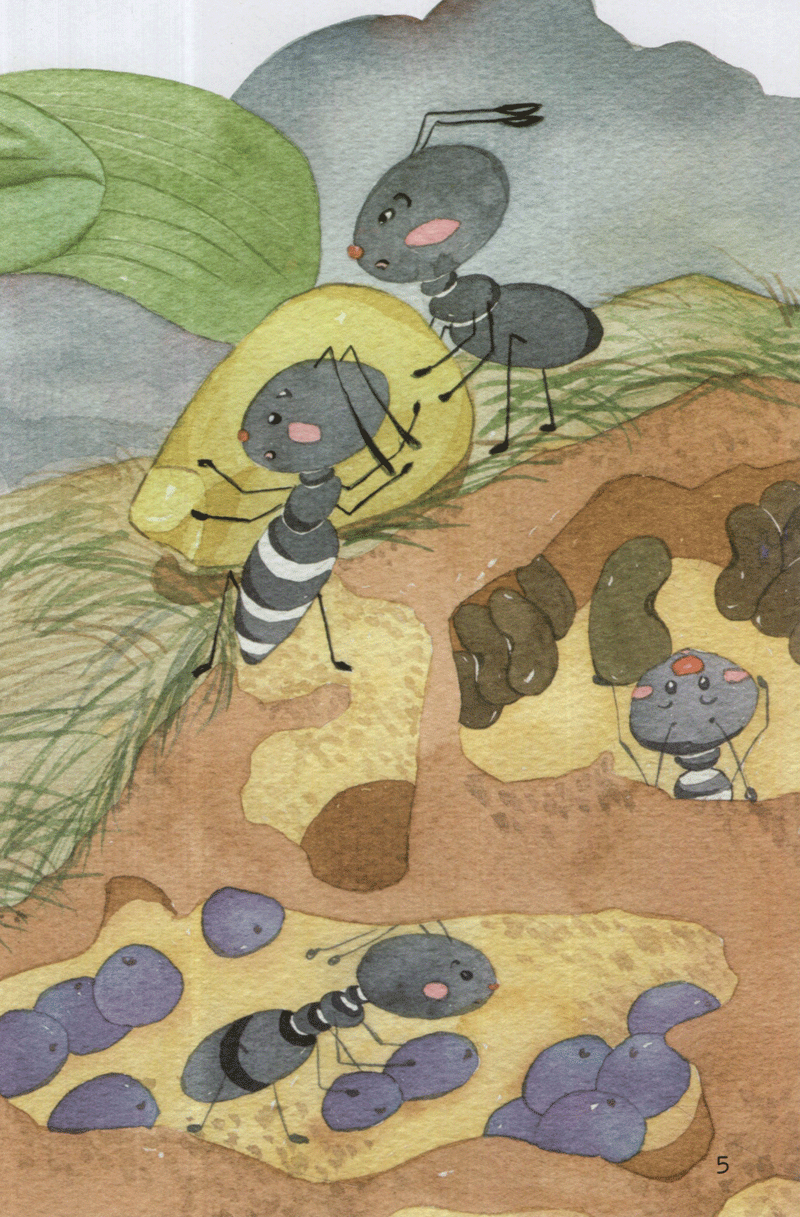 từ những hạt mầm - kiến đen tìm mè (tái bản 2019) - Ảnh 6