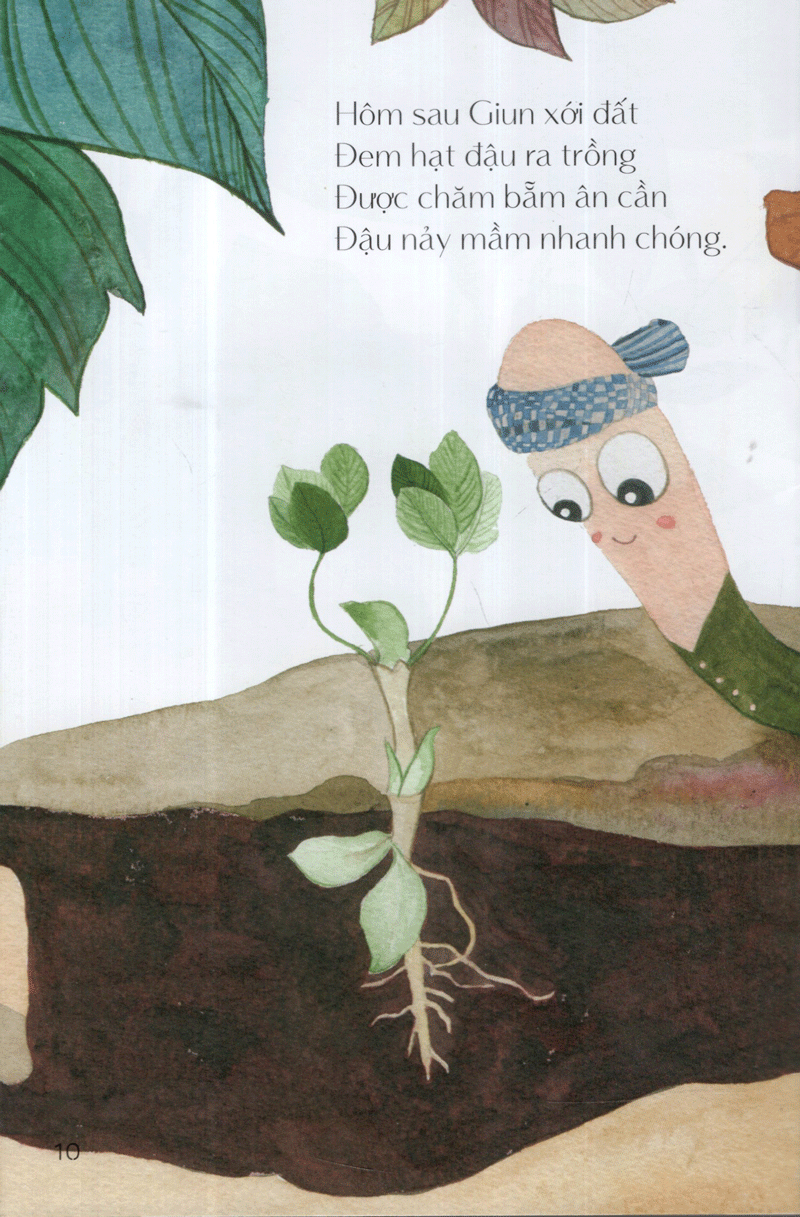 từ những hạt mầm - vườn đậu của giun (tái bản 2019) - Ảnh 12