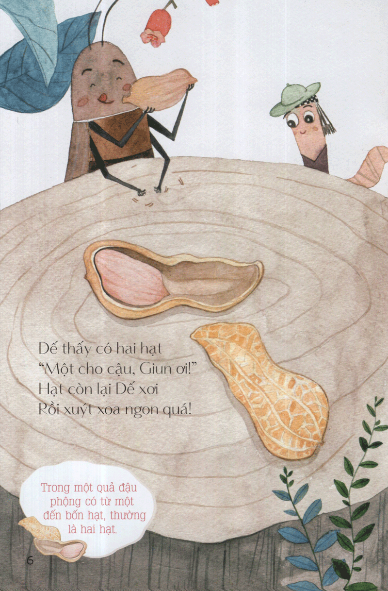 từ những hạt mầm - vườn đậu của giun (tái bản 2019) - Ảnh 8