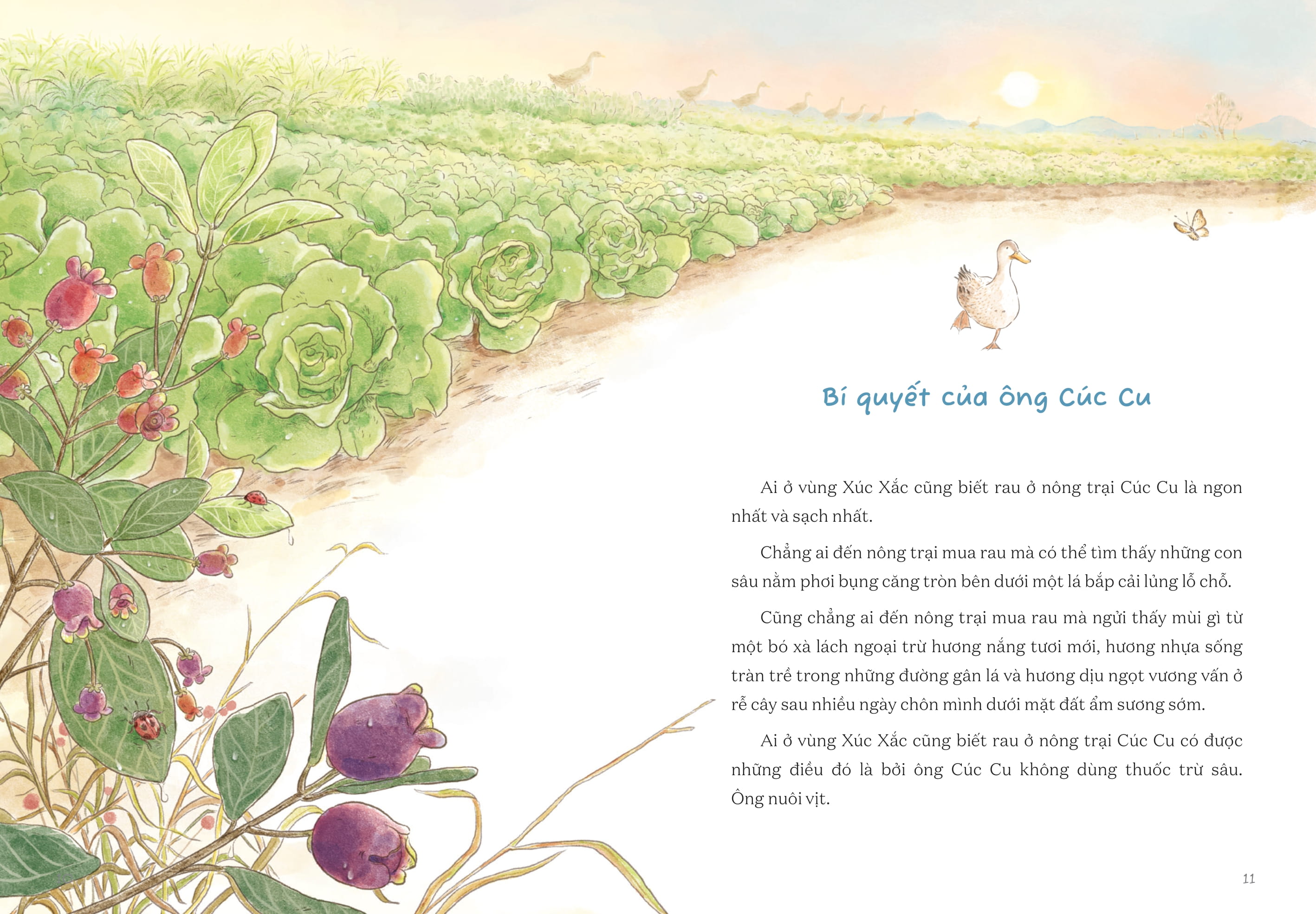 từ những ruộng rau ở nông trại cúc cu - Ảnh 5