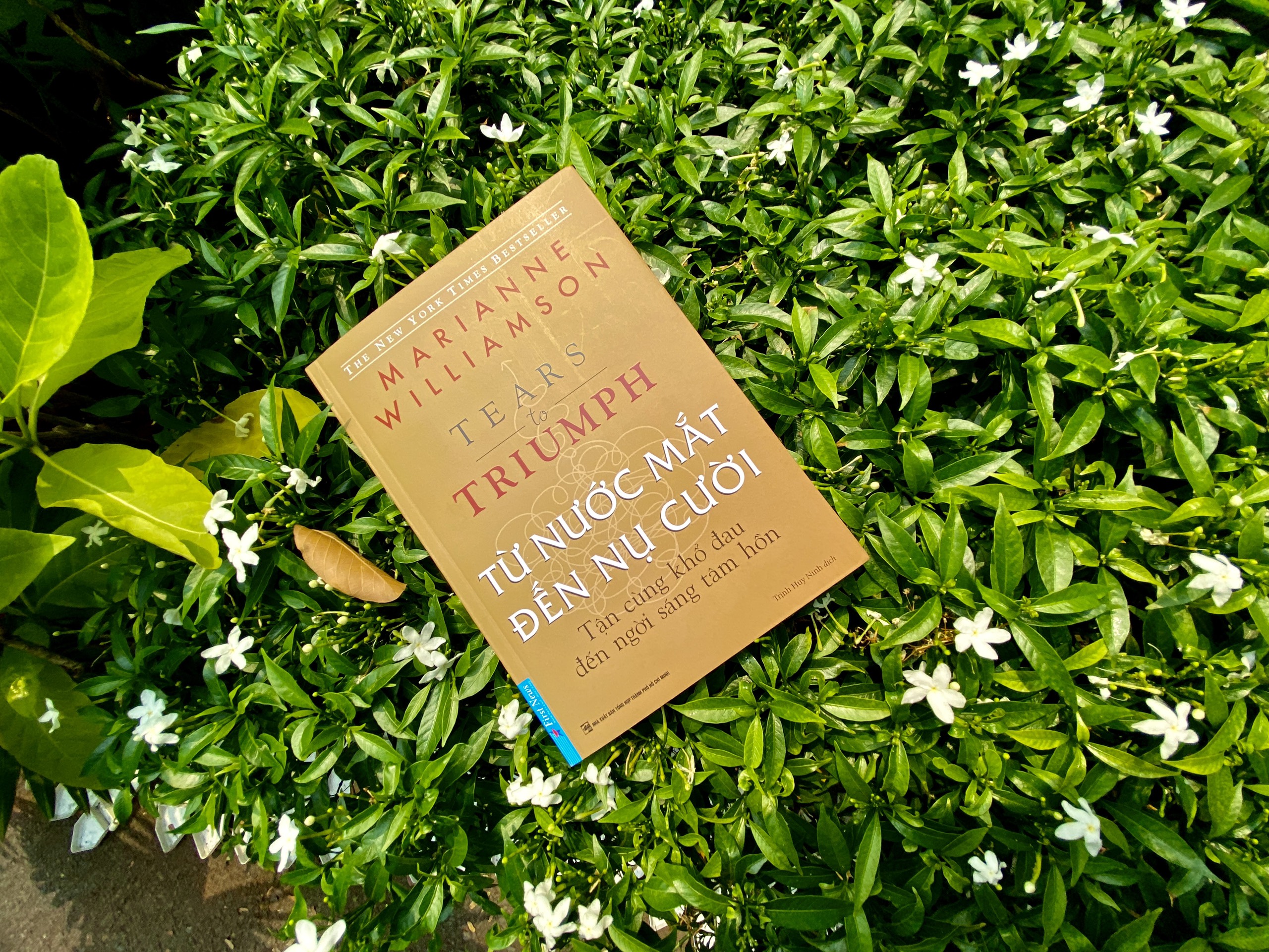 từ nước mắt đến nụ cười - tears to triumph - Ảnh 10