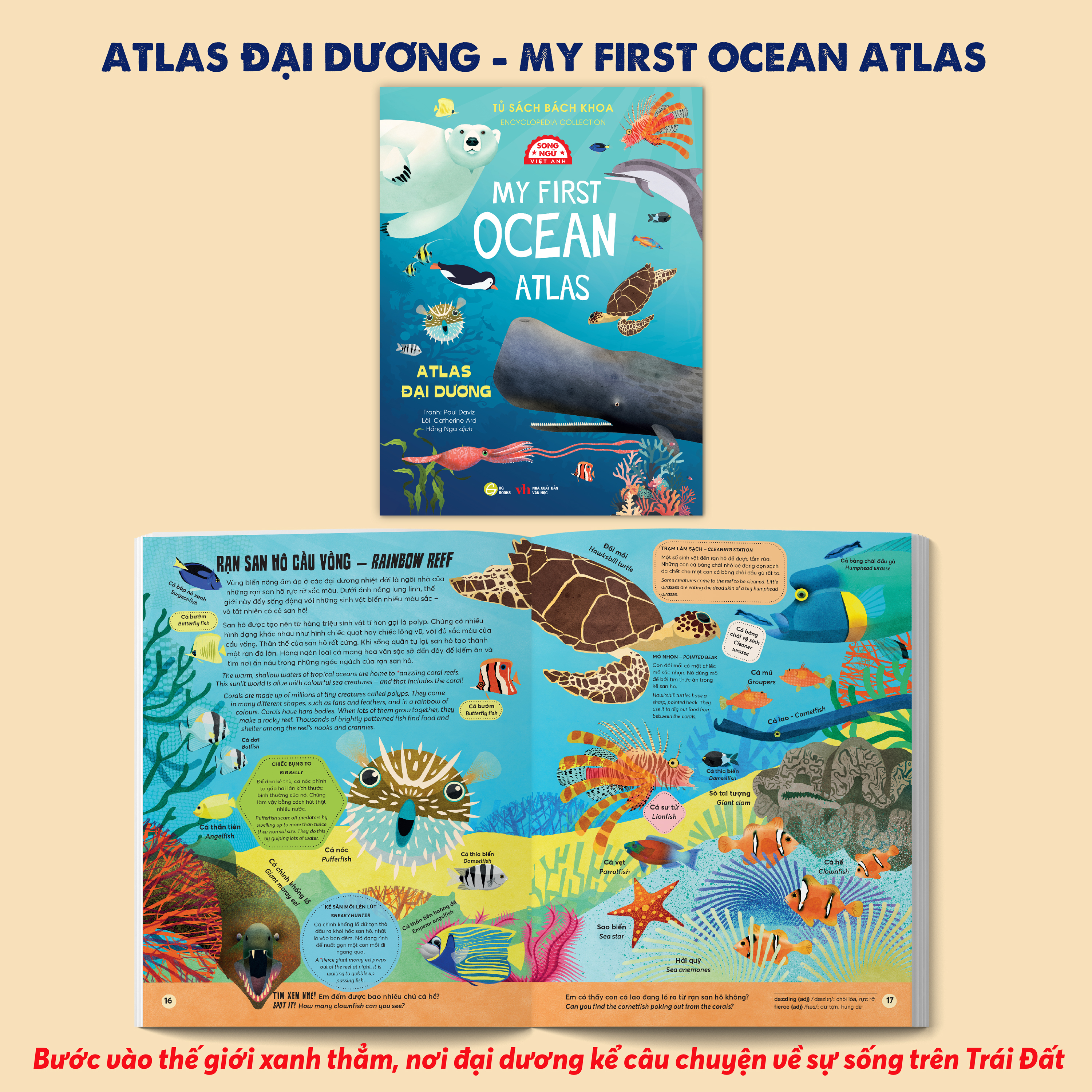 Tủ Sách Bách Khoa - Encyclopedia Collection - Atlas Đại Dương - My First Ocean Atlas - Song Ngữ Việt-Anh - Ảnh 3