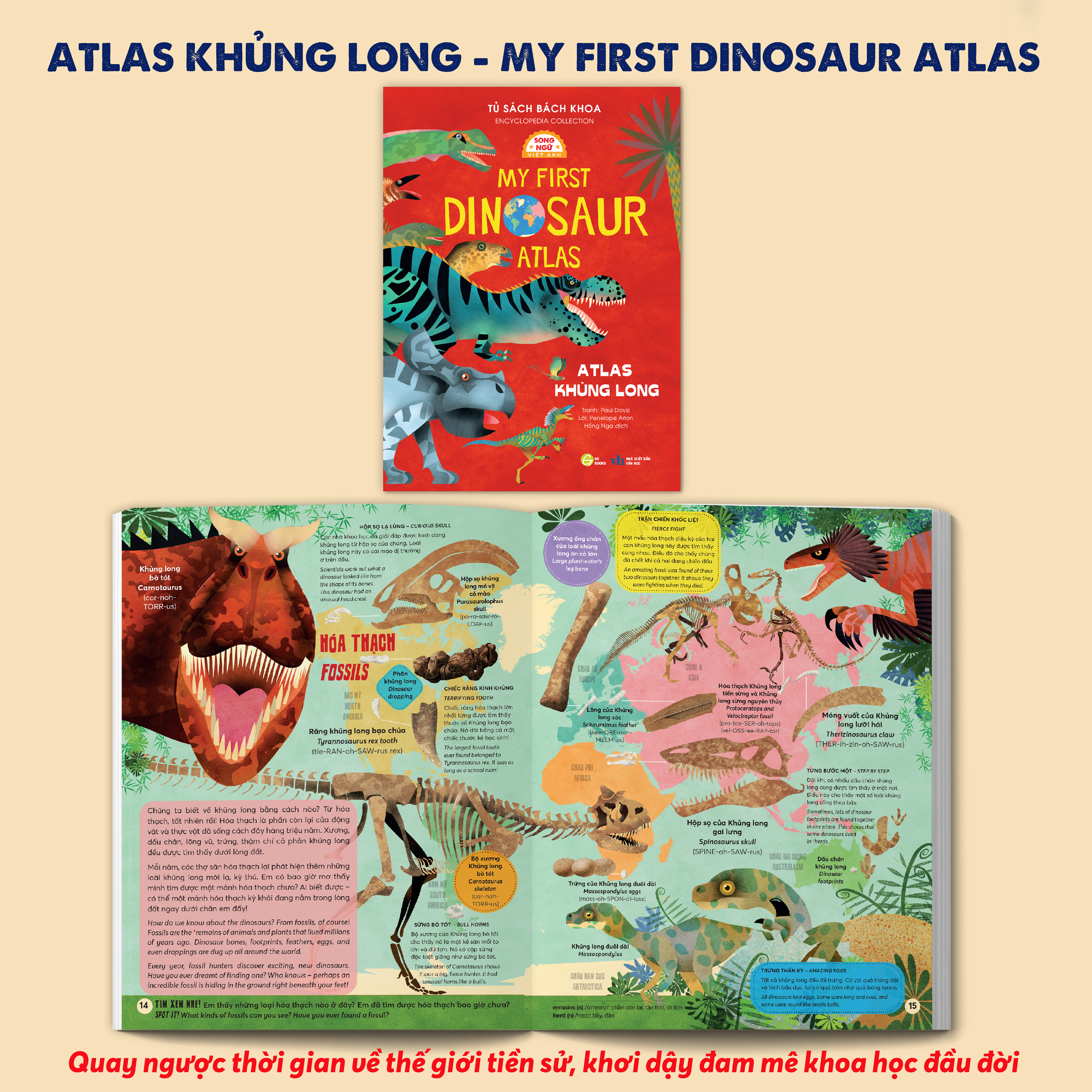 Tủ Sách Bách Khoa - Encyclopedia Collection - Atlas Khủng Long - My First Dinosaur Atlas - Song Ngữ Việt-Anh - Ảnh 3