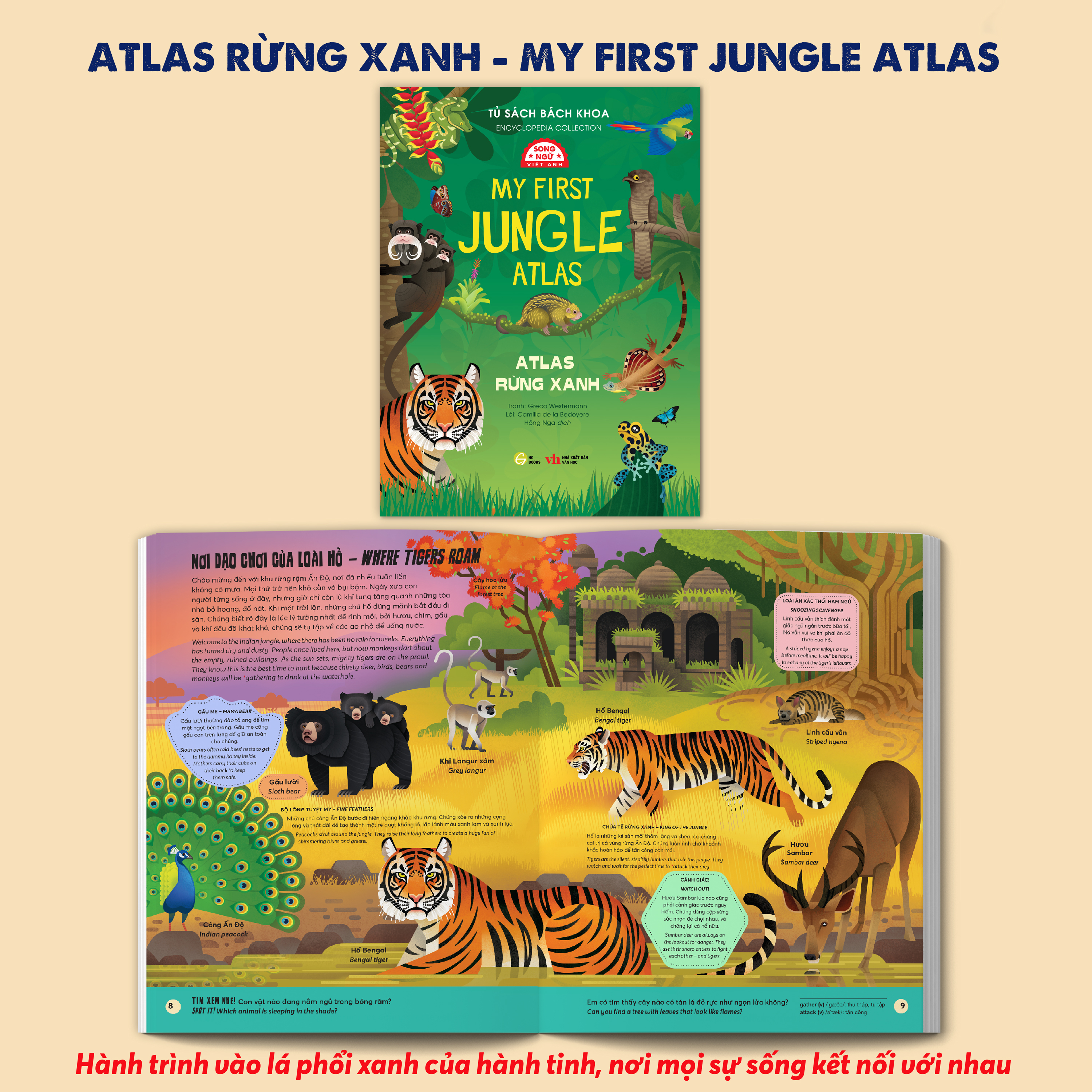 Tủ Sách Bách Khoa - Encyclopedia Collection - Atlas Rừng Xanh - My First Jungle Atlas - Song Ngữ Việt-Anh - Ảnh 3