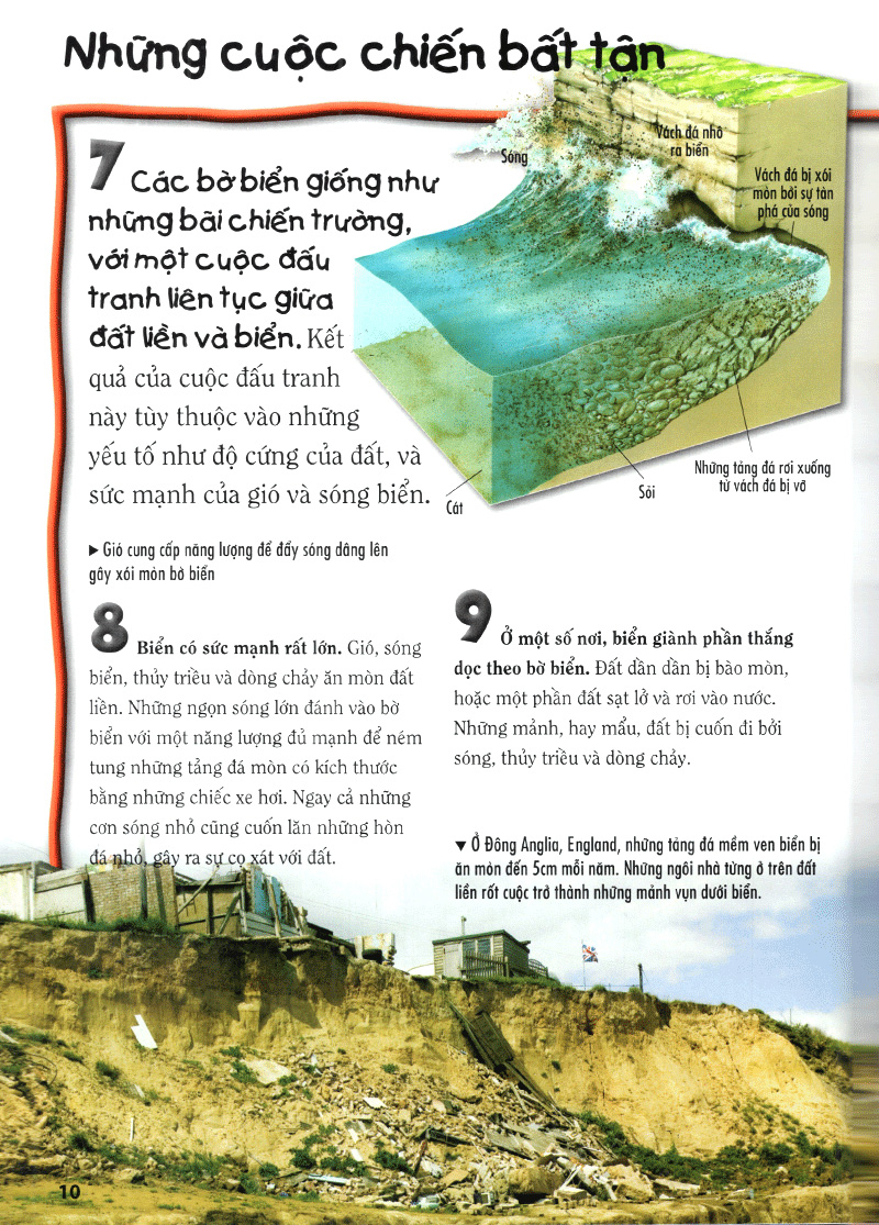 tủ sách bách khoa tri thức - 500 dữ kiện khoa học về đại dương - bìa cứng - Ảnh 11