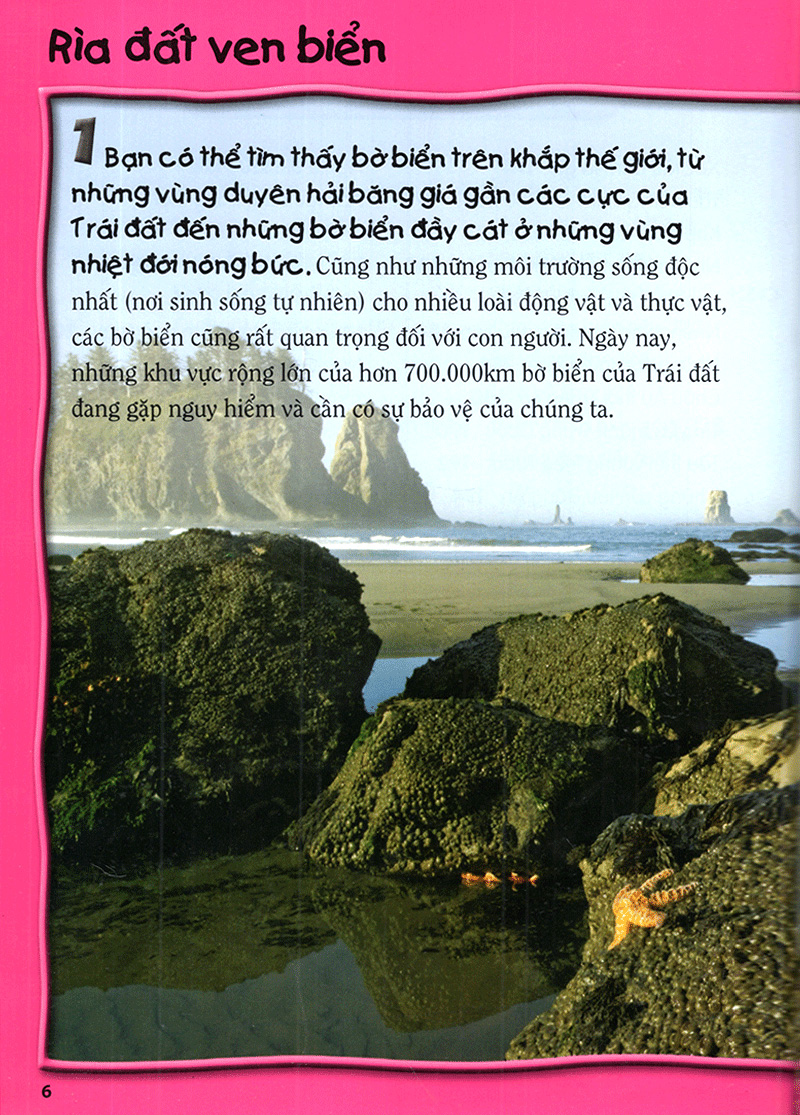 tủ sách bách khoa tri thức - 500 dữ kiện khoa học về đại dương - bìa cứng - Ảnh 7