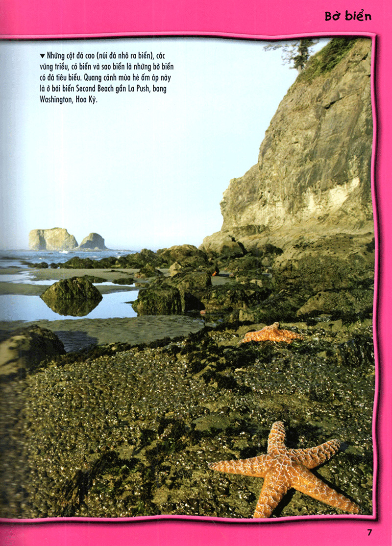 tủ sách bách khoa tri thức - 500 dữ kiện khoa học về đại dương - bìa cứng - Ảnh 8