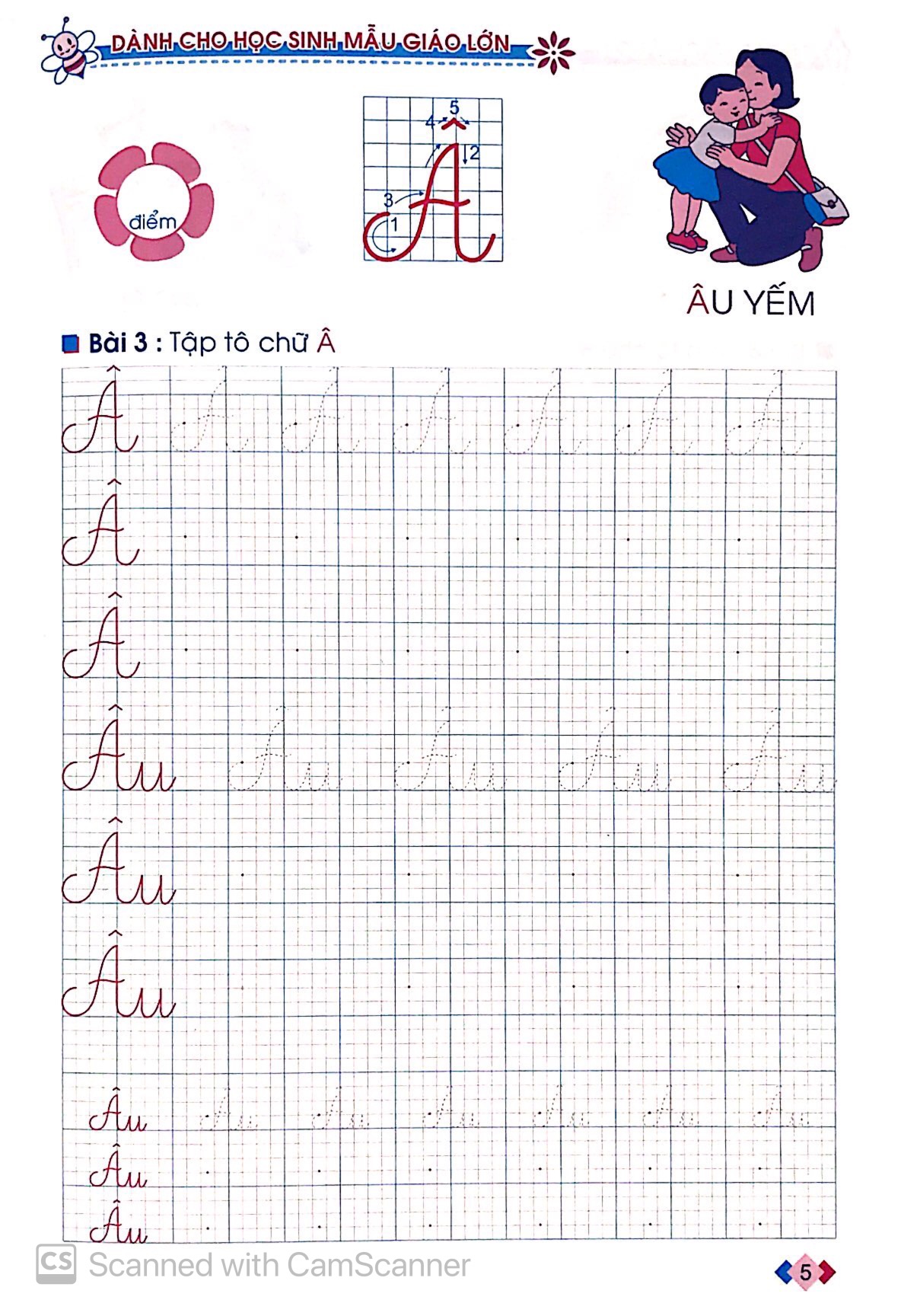 tủ sách cho bé vào lớp 1 - bé tập tô chữ hoa dành cho học sinh mẫu giáo lớn - Ảnh 5