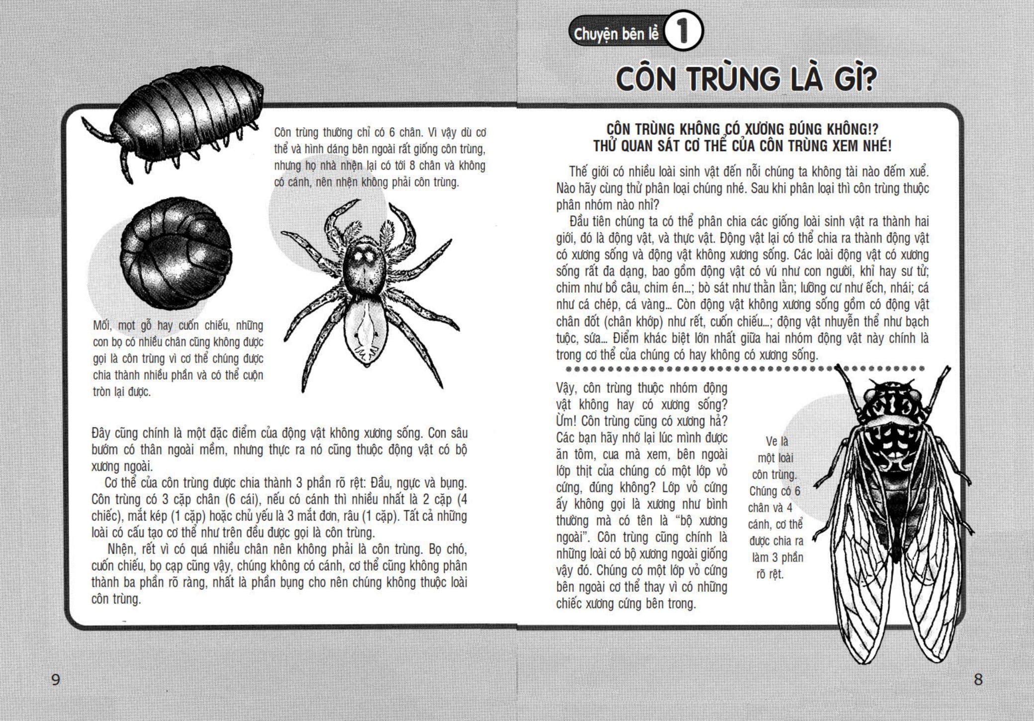 Tủ Sách Khoa Học - Shin - Cậu Bé Bút Chì - Khám Phá Thế Giới Côn Trùng (Tái Bản 2025) - Ảnh 6