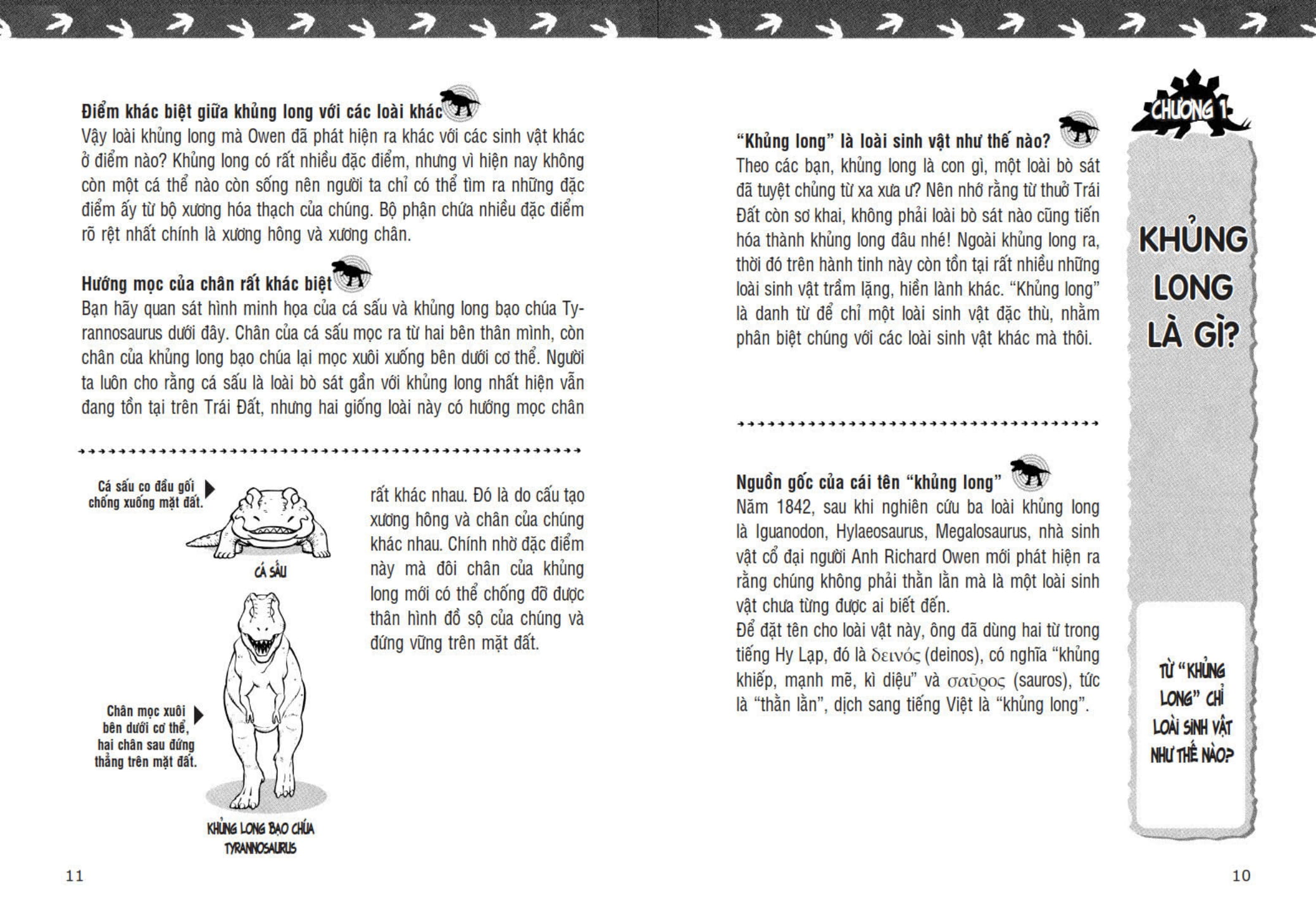 Tủ Sách Khoa Học - Shin - Cậu Bé Bút Chì - Khám Phá Thế Giới Khủng Long (Tái Bản 2025) - Ảnh 7