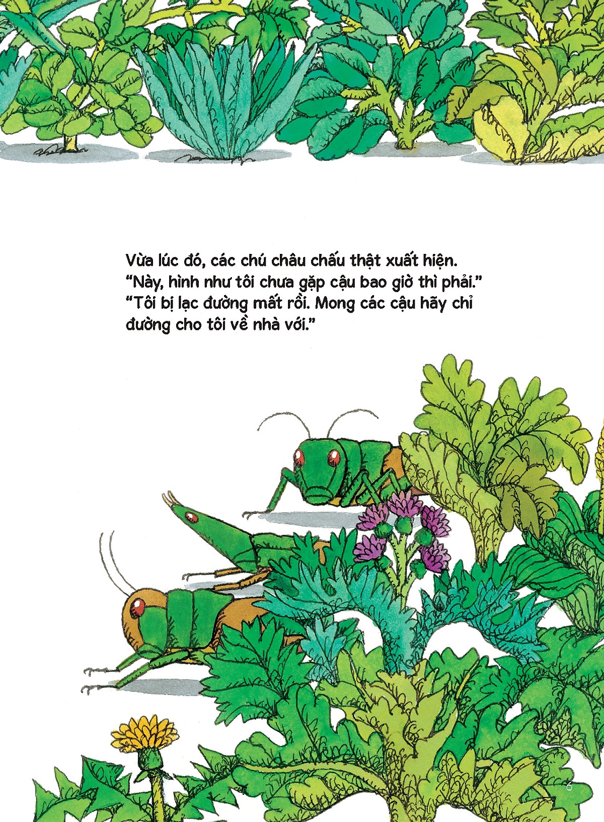 tủ sách nuôi dưỡng tâm hồn - con châu chấu đồ chơi - Ảnh 6